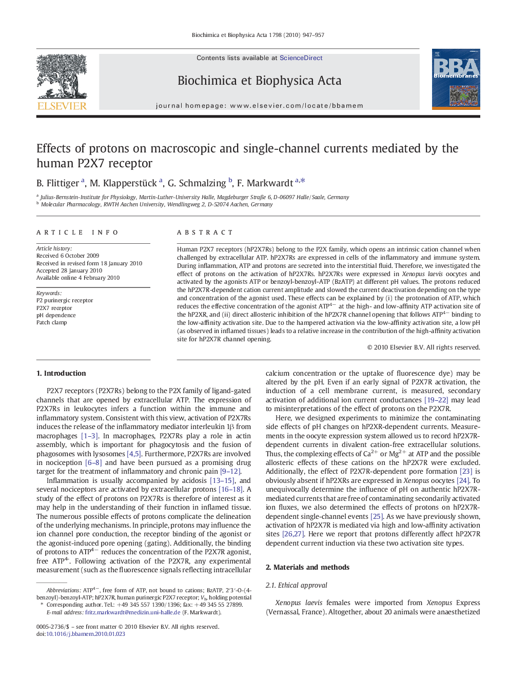 Effects of protons on macroscopic and single-channel currents mediated by the human P2X7 receptor