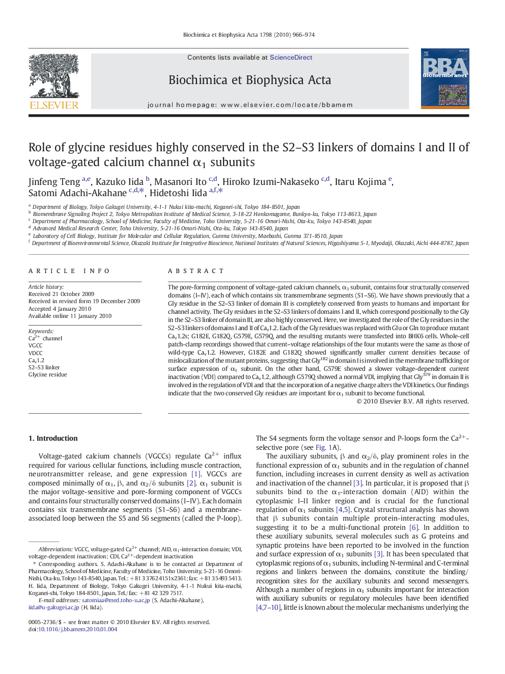 Role of glycine residues highly conserved in the S2–S3 linkers of domains I and II of voltage-gated calcium channel α1 subunits