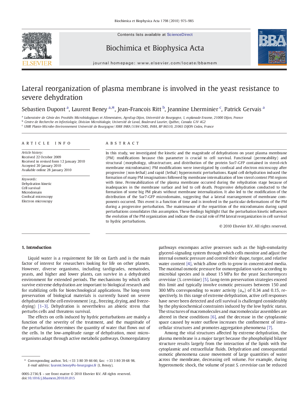 Lateral reorganization of plasma membrane is involved in the yeast resistance to severe dehydration