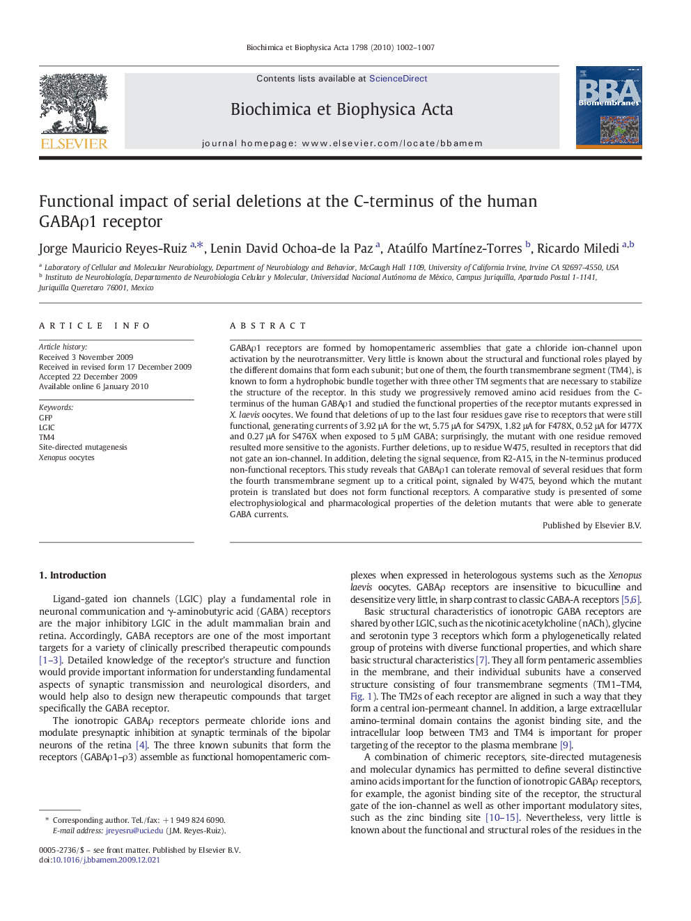 Functional impact of serial deletions at the C-terminus of the human GABAρ1 receptor