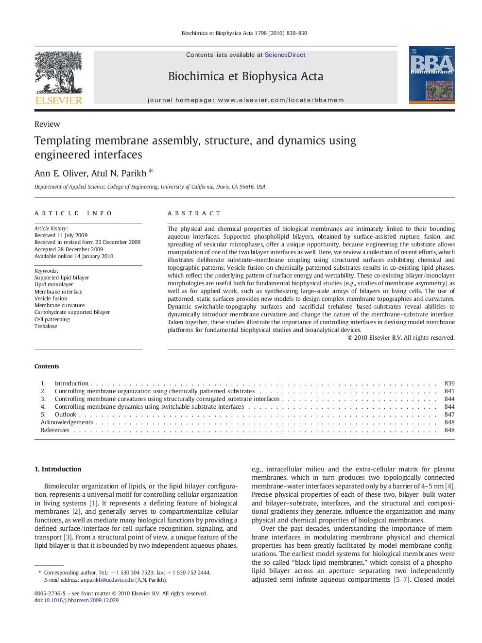 Templating membrane assembly, structure, and dynamics using engineered interfaces