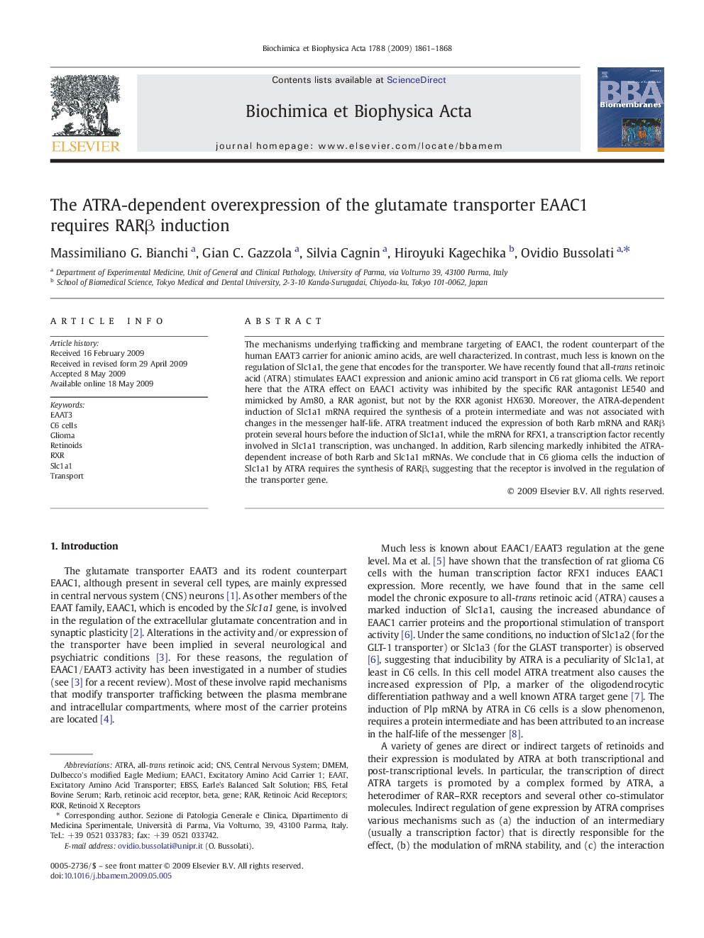 The ATRA-dependent overexpression of the glutamate transporter EAAC1 requires RARβ induction