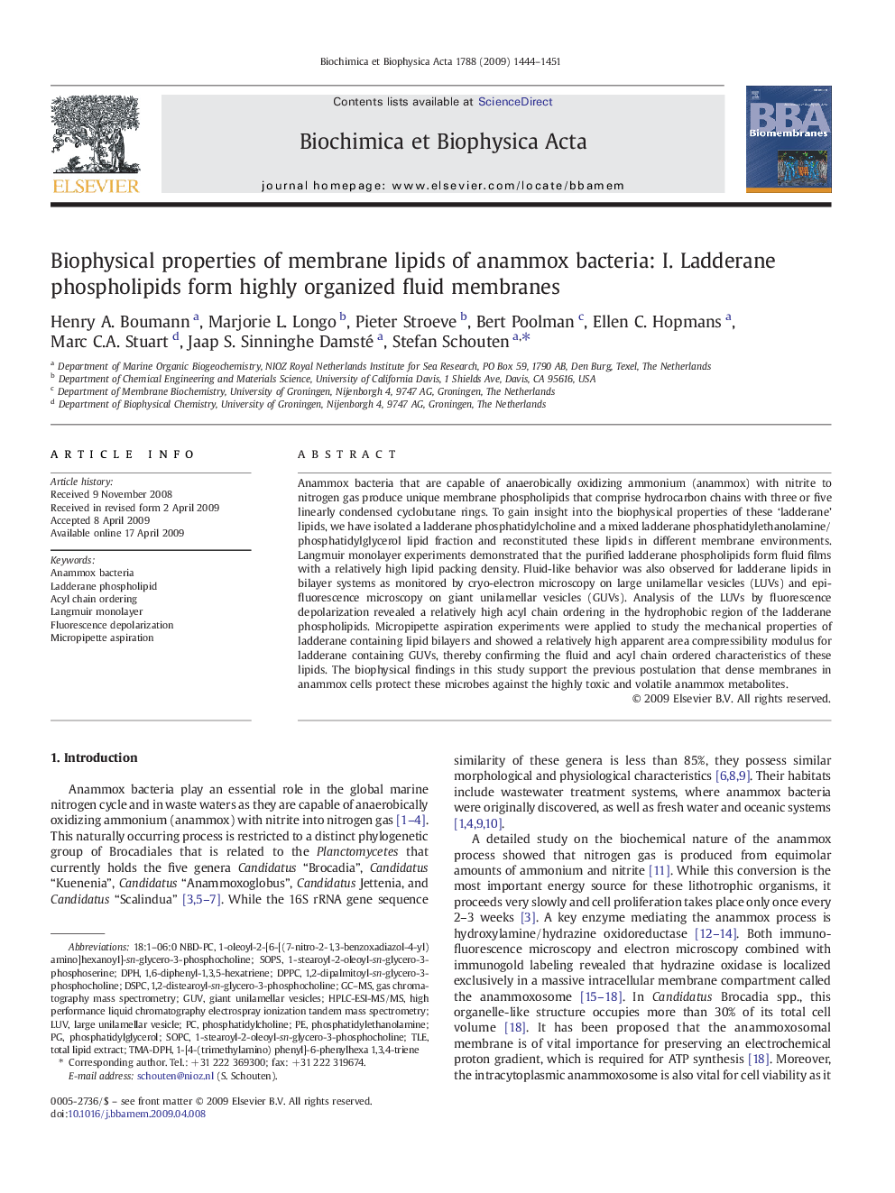 Biophysical properties of membrane lipids of anammox bacteria: I. Ladderane phospholipids form highly organized fluid membranes