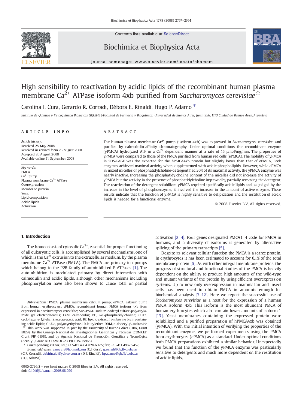 High sensibility to reactivation by acidic lipids of the recombinant human plasma membrane Ca2+-ATPase isoform 4xb purified from Saccharomyces cerevisiae 