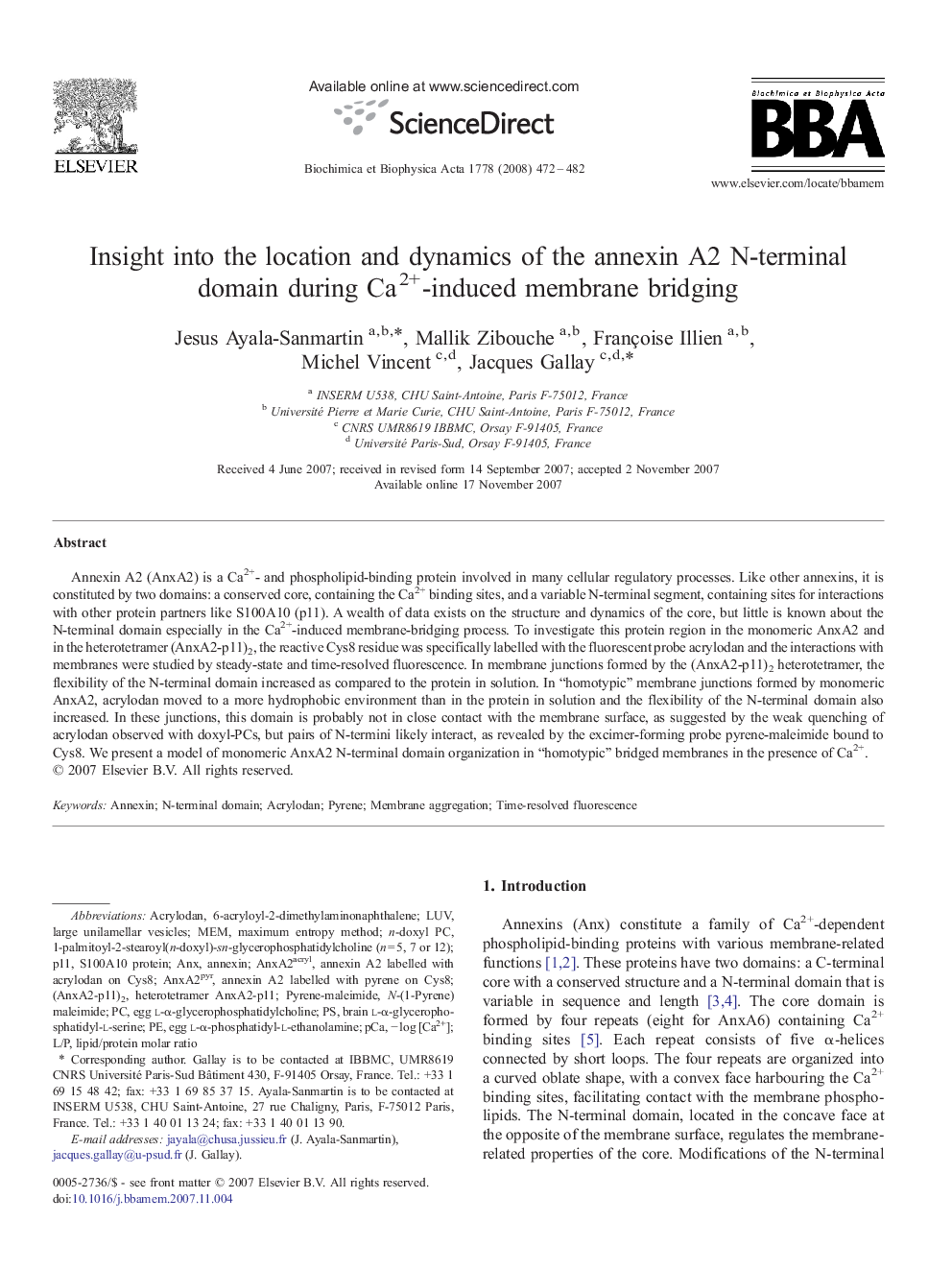 Insight into the location and dynamics of the annexin A2 N-terminal domain during Ca2+-induced membrane bridging