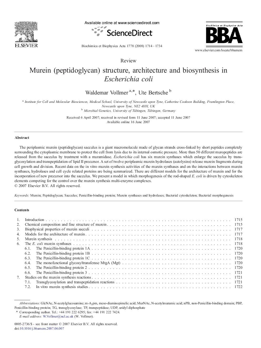 Murein (peptidoglycan) structure, architecture and biosynthesis in Escherichia coli