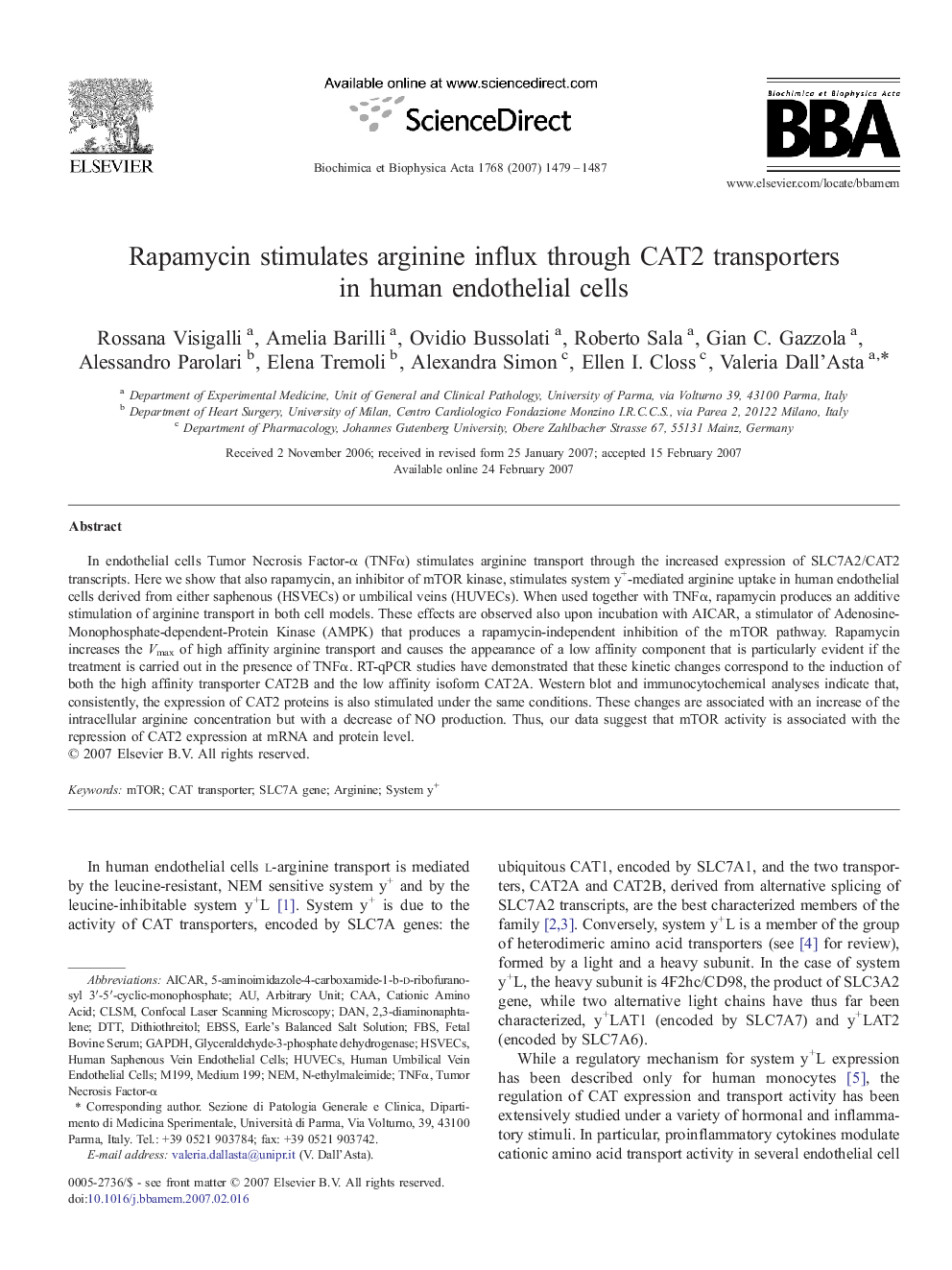 Rapamycin stimulates arginine influx through CAT2 transporters in human endothelial cells