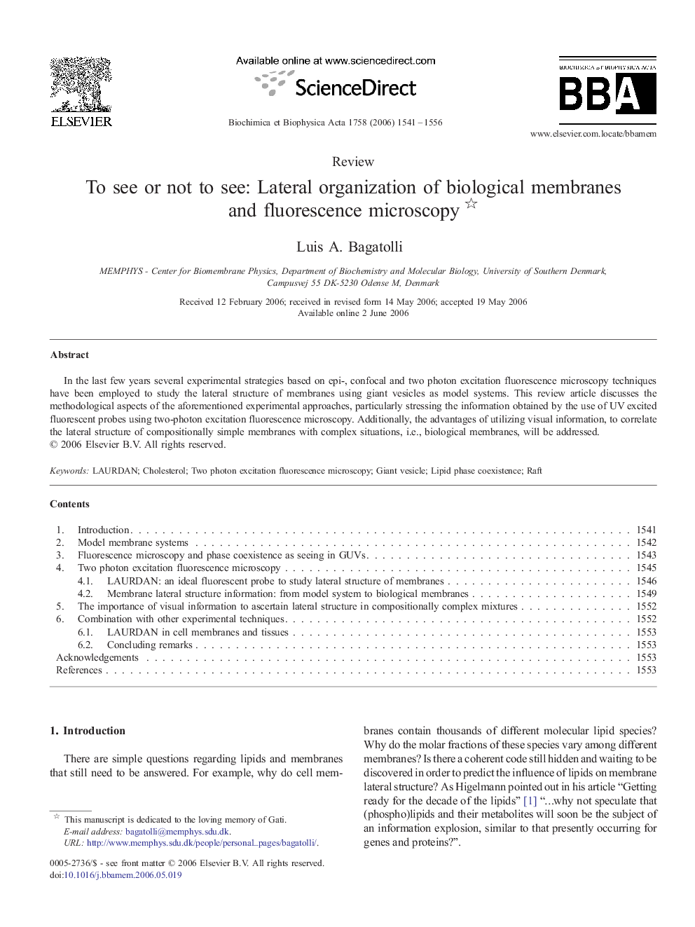 To see or not to see: Lateral organization of biological membranes and fluorescence microscopy 