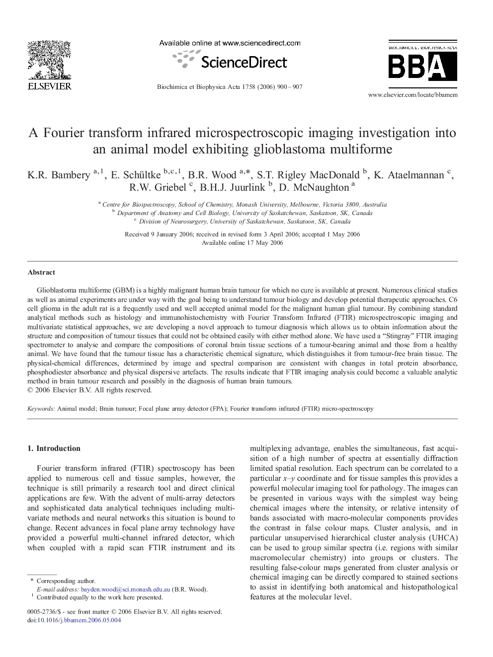 A Fourier transform infrared microspectroscopic imaging investigation into an animal model exhibiting glioblastoma multiforme