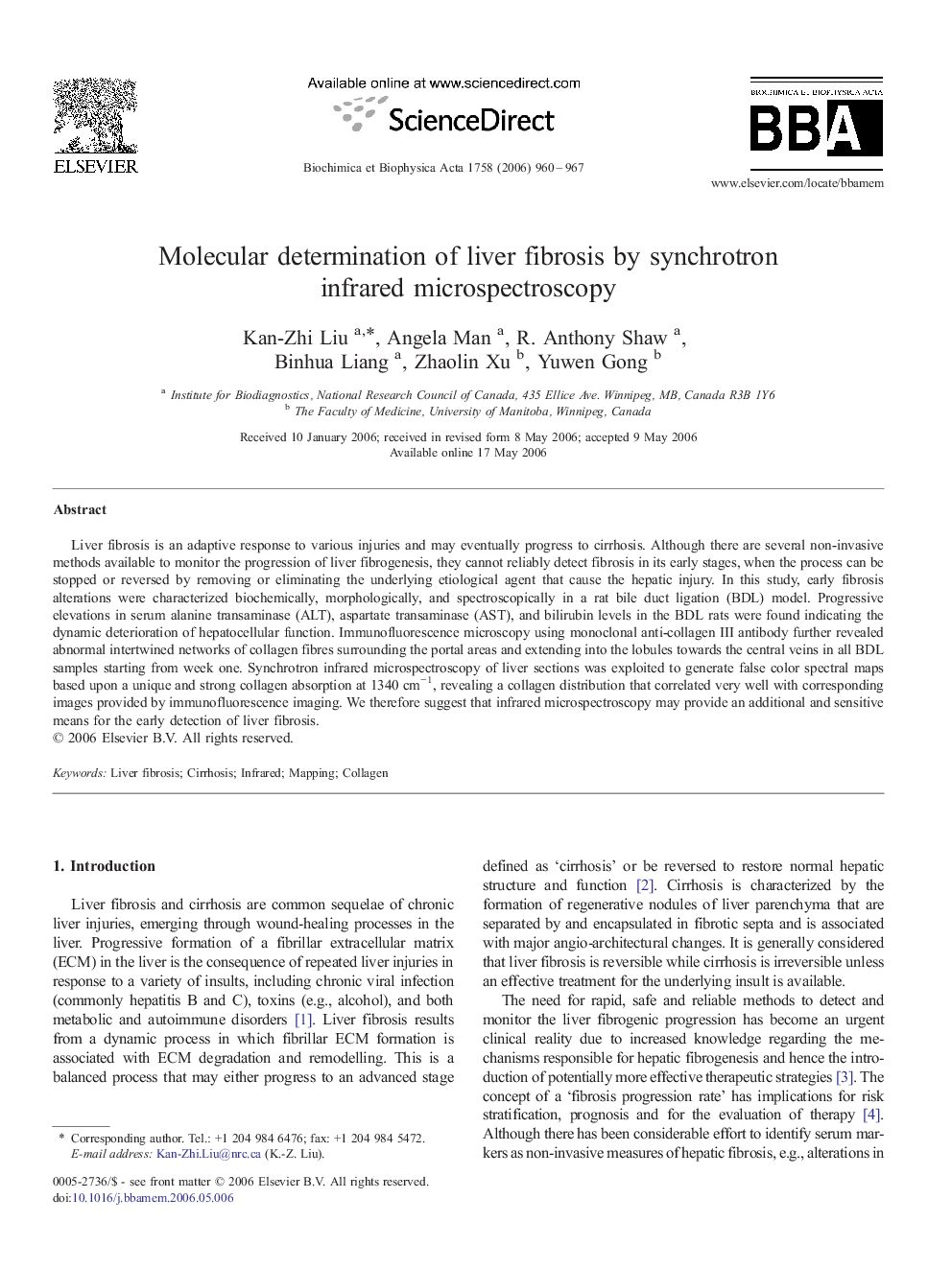 Molecular determination of liver fibrosis by synchrotron infrared microspectroscopy