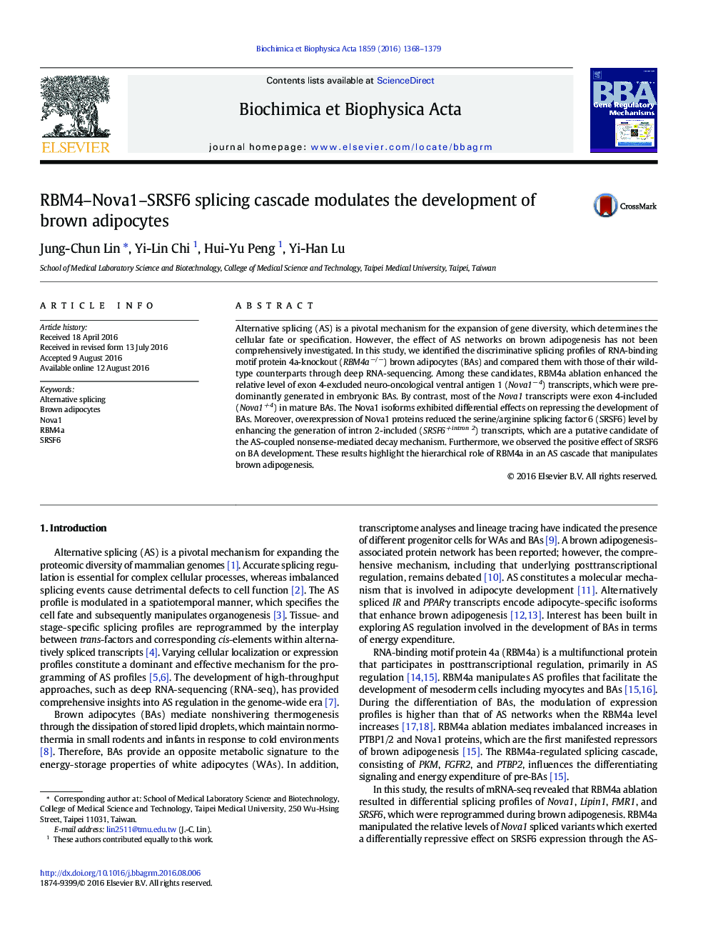 RBM4–Nova1–SRSF6 splicing cascade modulates the development of brown adipocytes