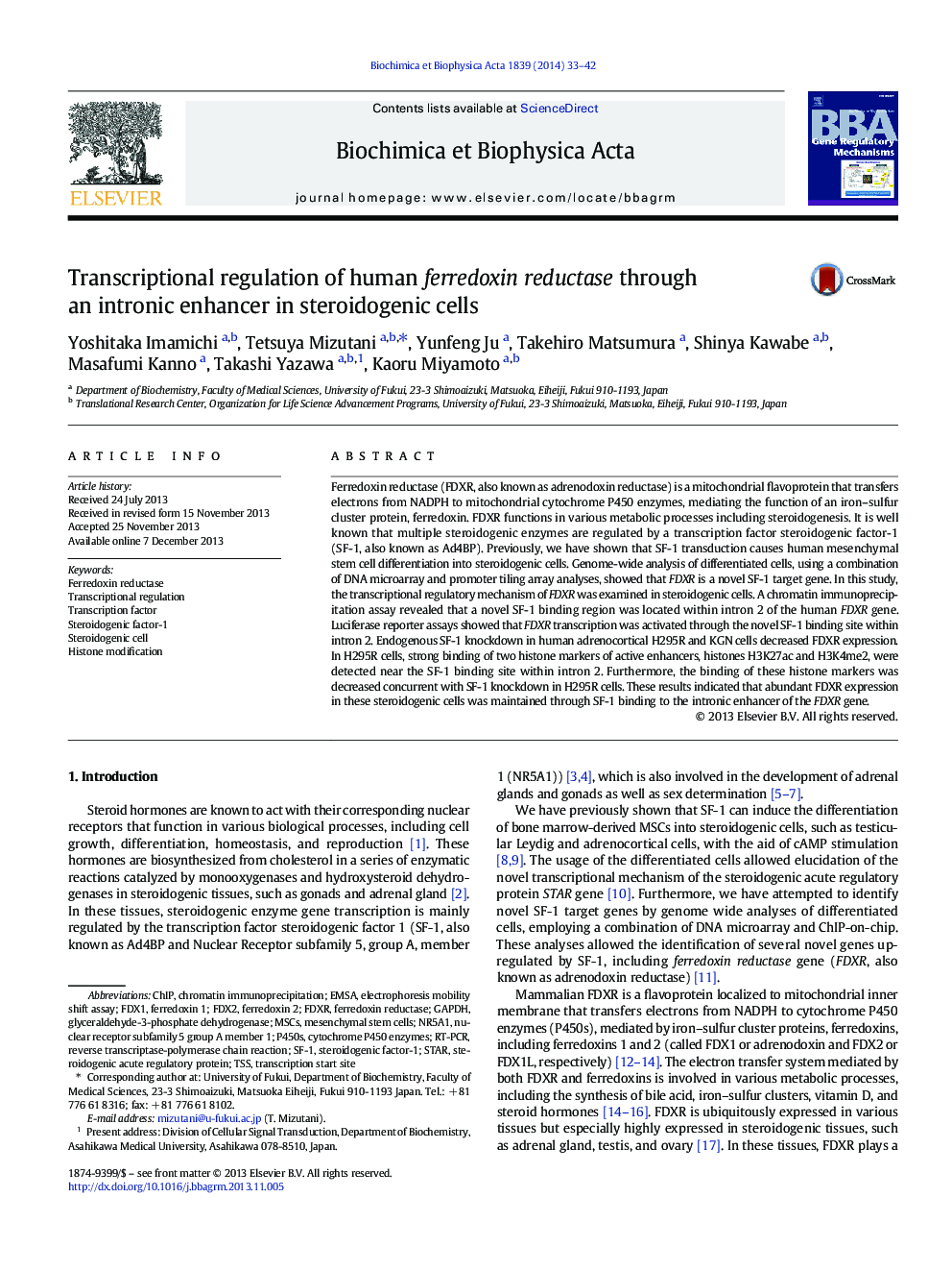 Transcriptional regulation of human ferredoxin reductase through an intronic enhancer in steroidogenic cells