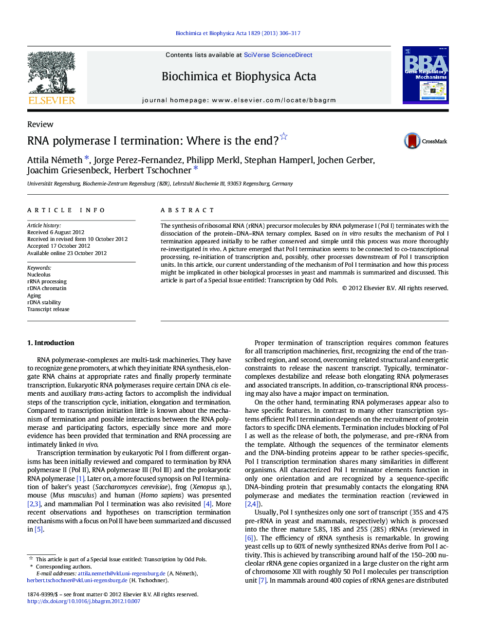 RNA polymerase I termination: Where is the end? 