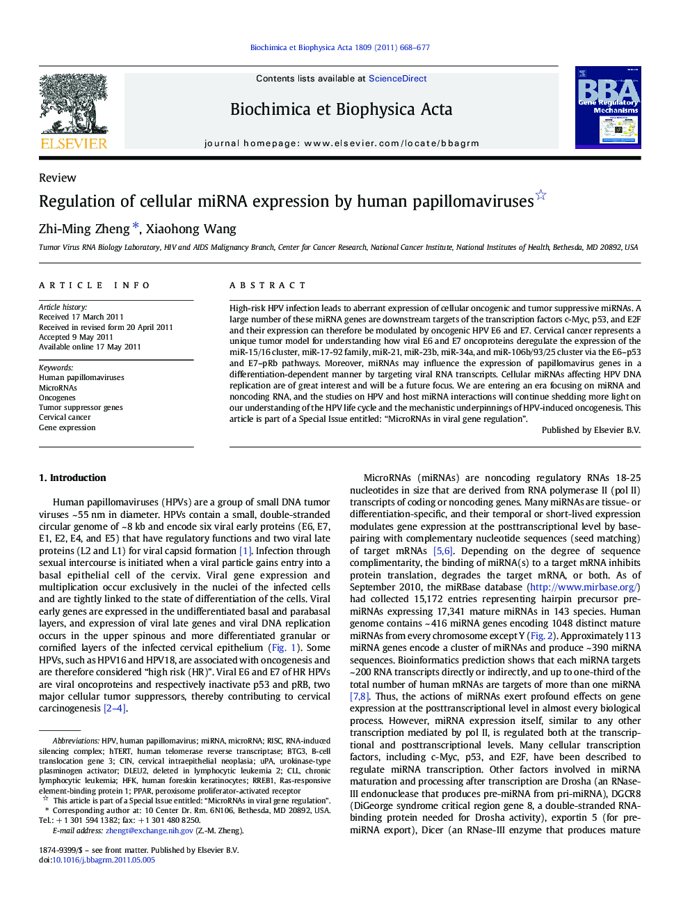 Regulation of cellular miRNA expression by human papillomaviruses 