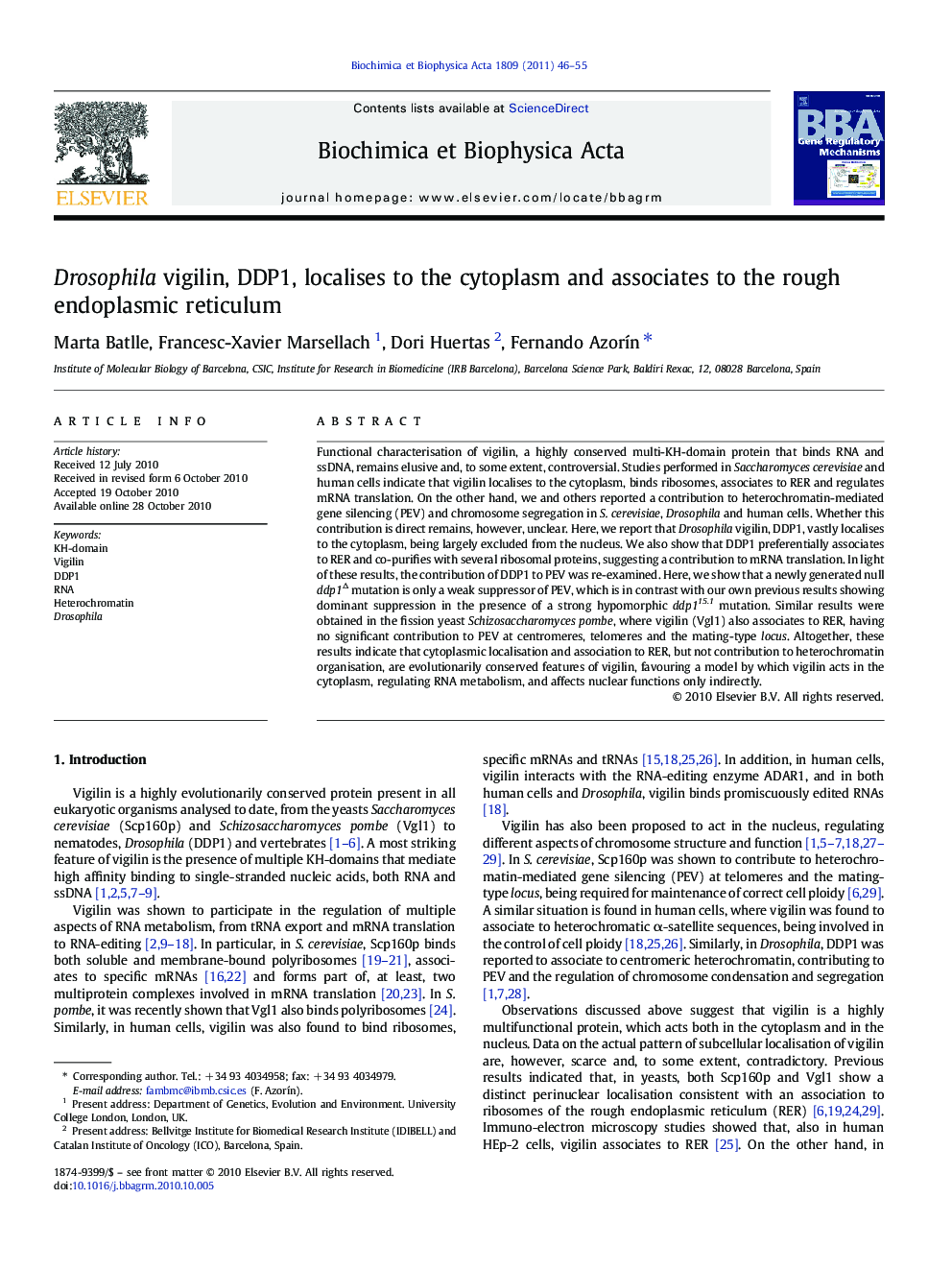 Drosophila vigilin, DDP1, localises to the cytoplasm and associates to the rough endoplasmic reticulum