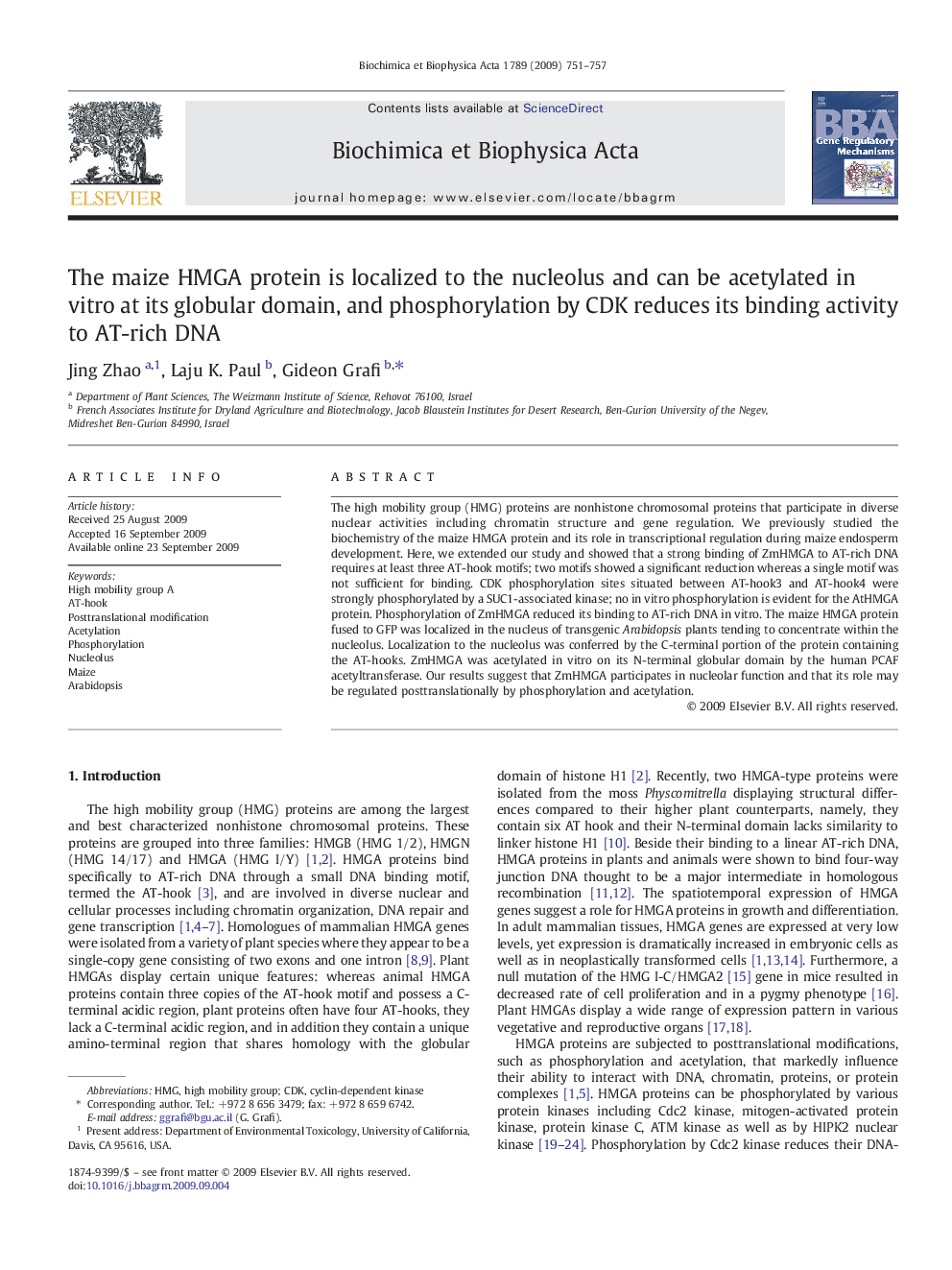 The maize HMGA protein is localized to the nucleolus and can be acetylated in vitro at its globular domain, and phosphorylation by CDK reduces its binding activity to AT-rich DNA