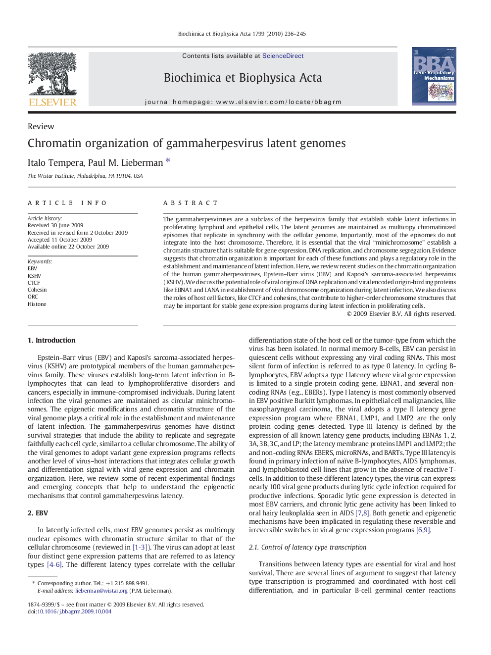 Chromatin organization of gammaherpesvirus latent genomes