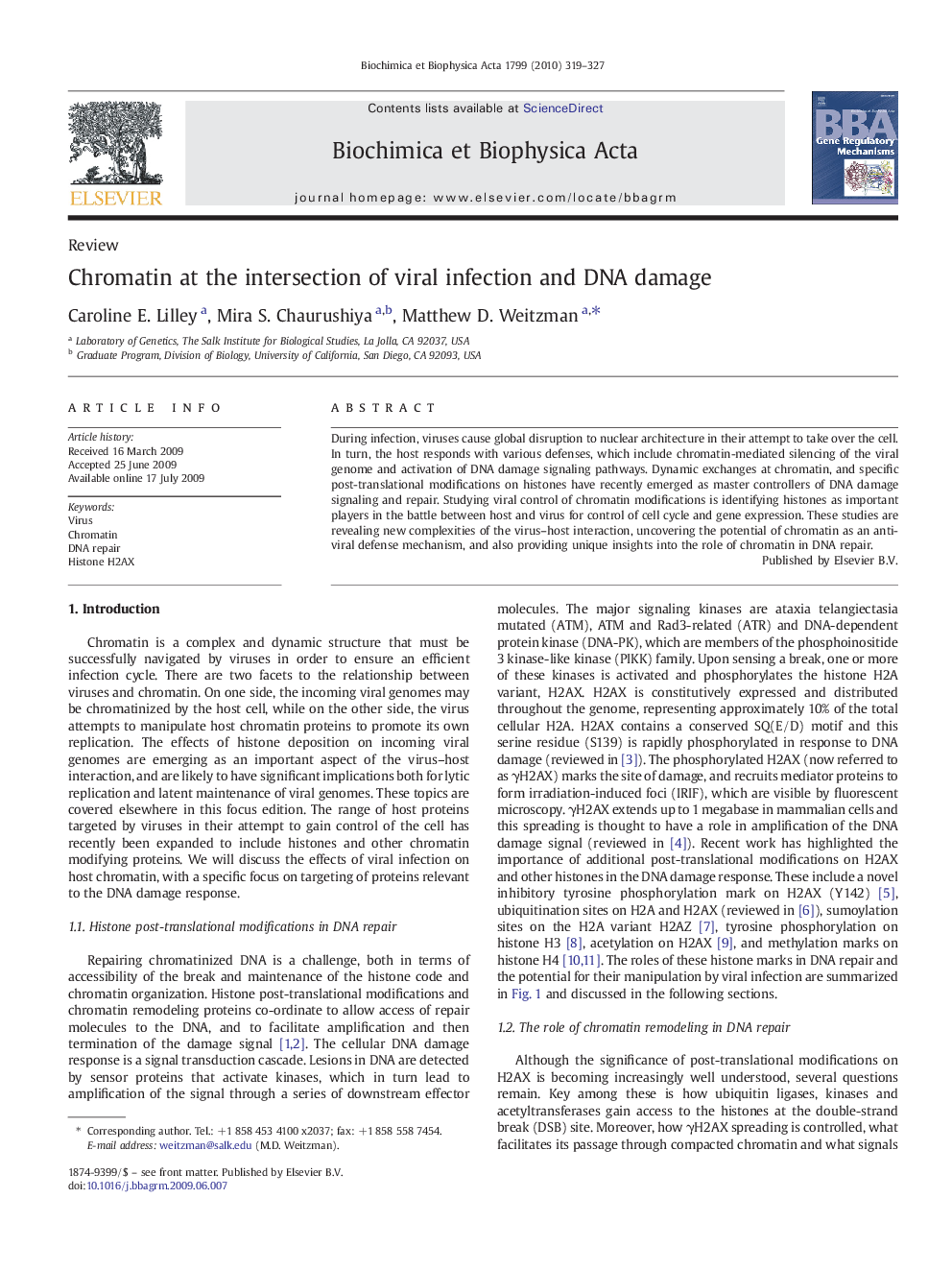 Chromatin at the intersection of viral infection and DNA damage