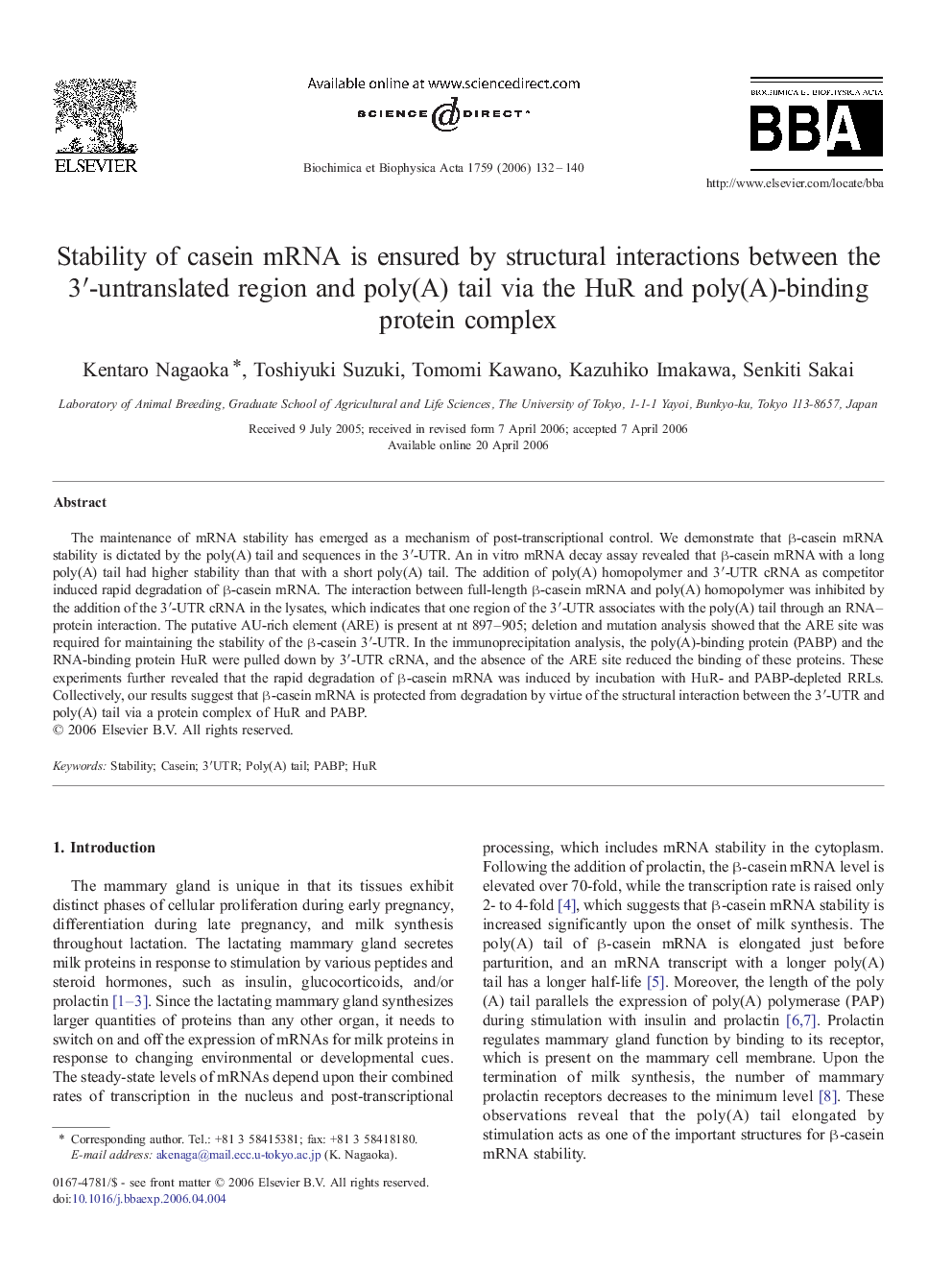 Stability of casein mRNA is ensured by structural interactions between the 3′-untranslated region and poly(A) tail via the HuR and poly(A)-binding protein complex