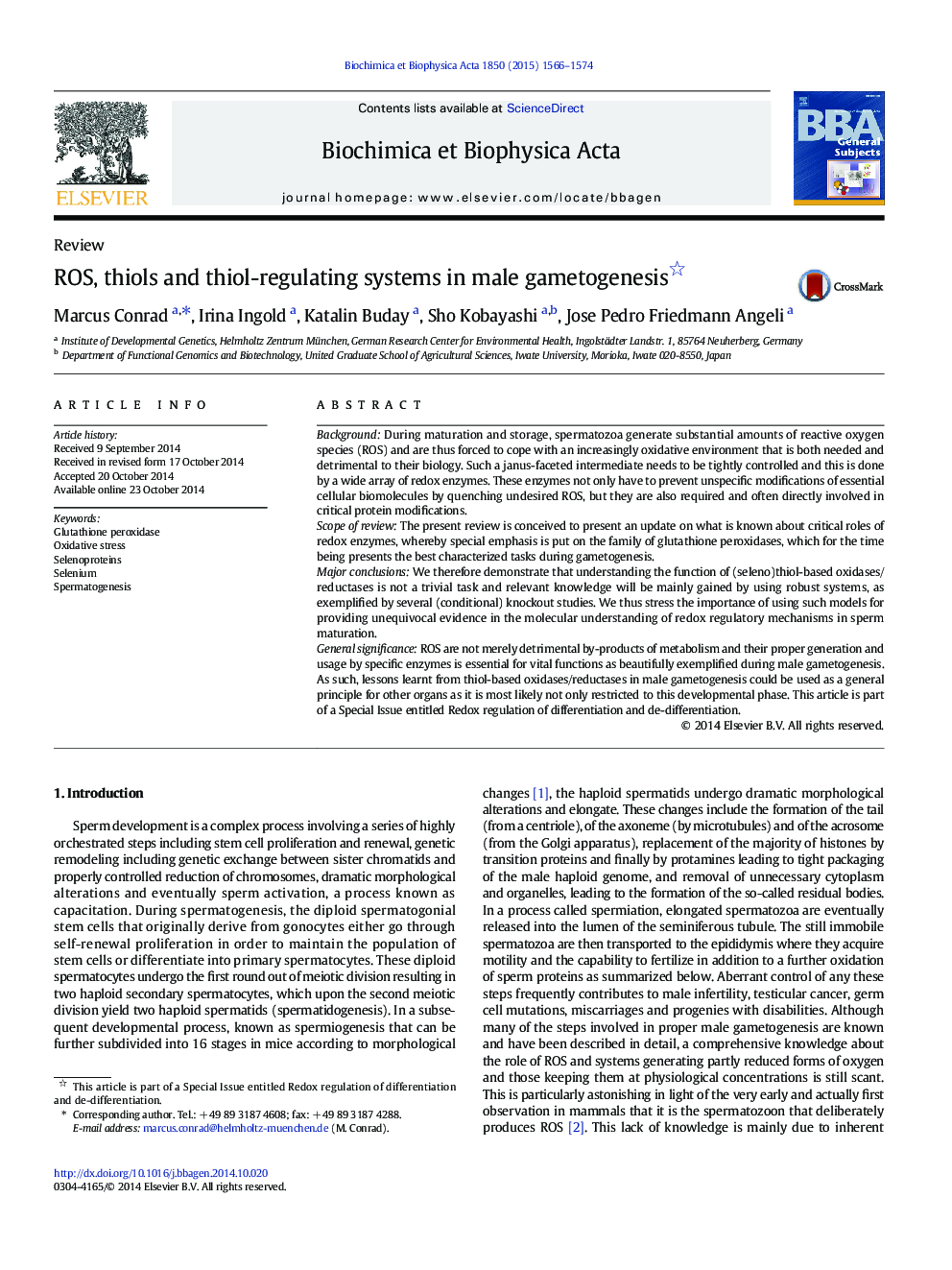 ROS, thiols and thiol-regulating systems in male gametogenesis