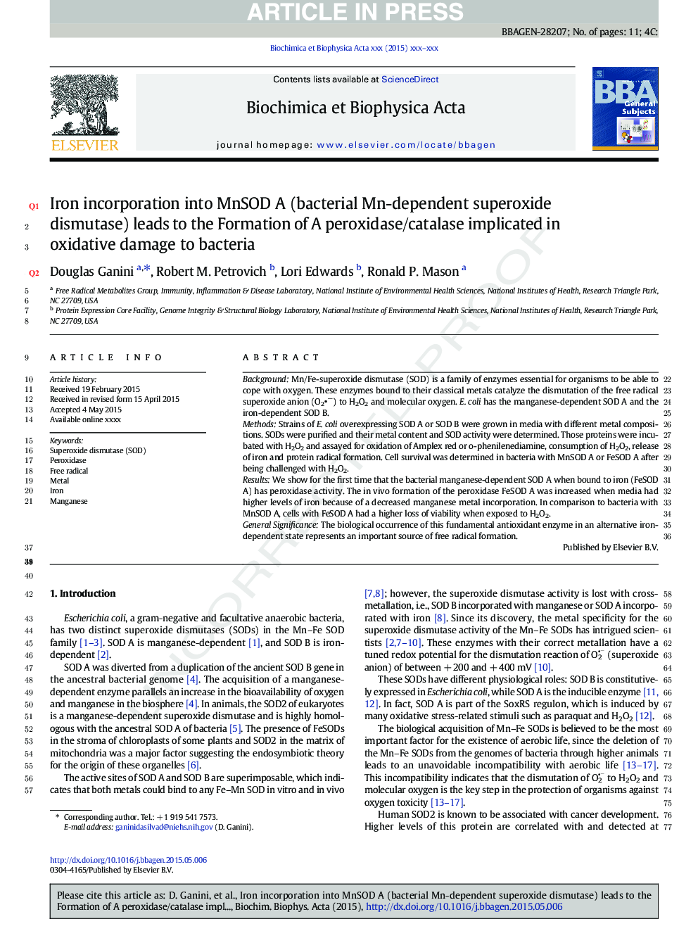 Iron incorporation into MnSOD A (bacterial Mn-dependent superoxide dismutase) leads to the formation of a peroxidase/catalase implicated in oxidative damage to bacteria