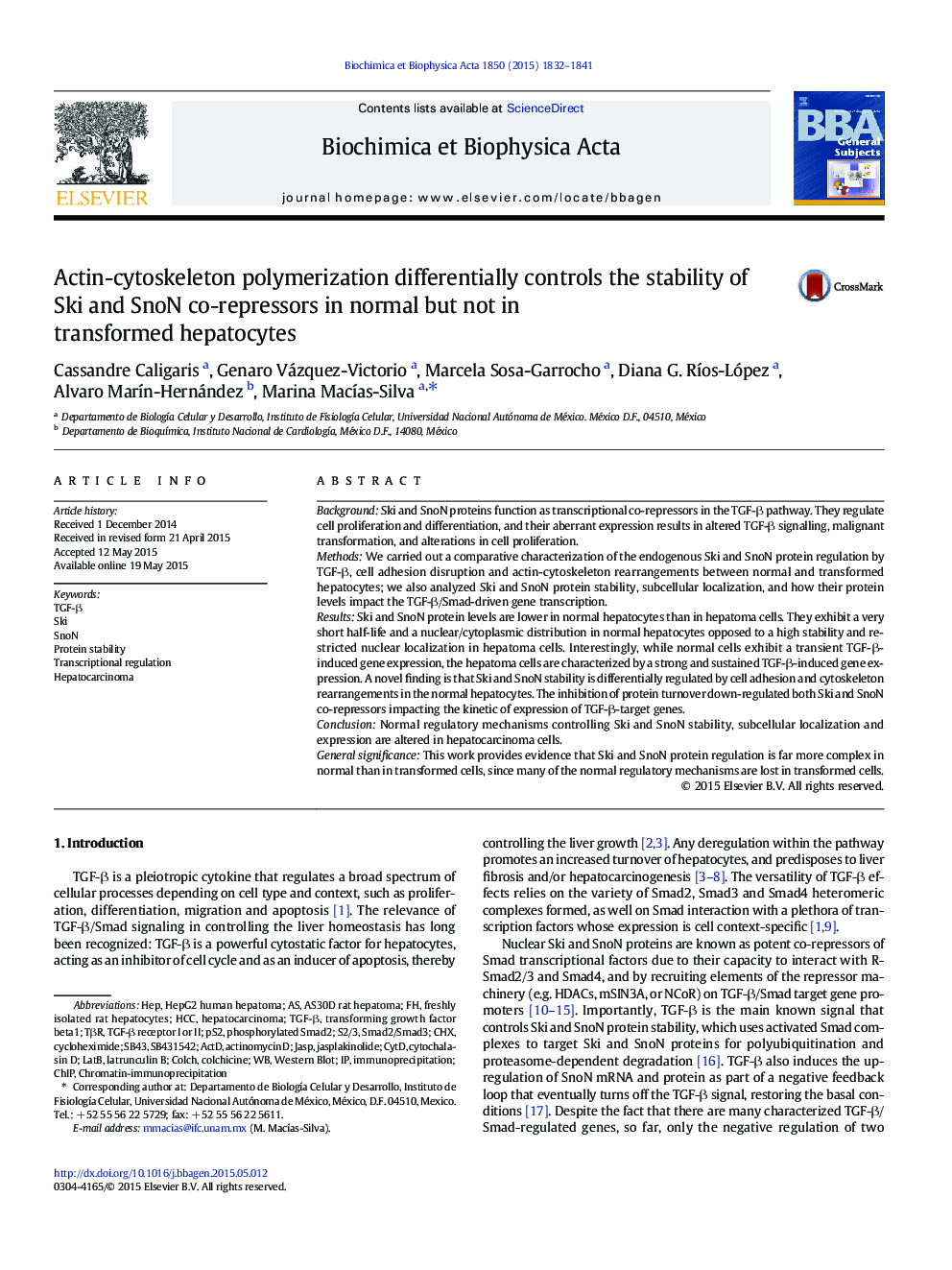 Actin-cytoskeleton polymerization differentially controls the stability of Ski and SnoN co-repressors in normal but not in transformed hepatocytes