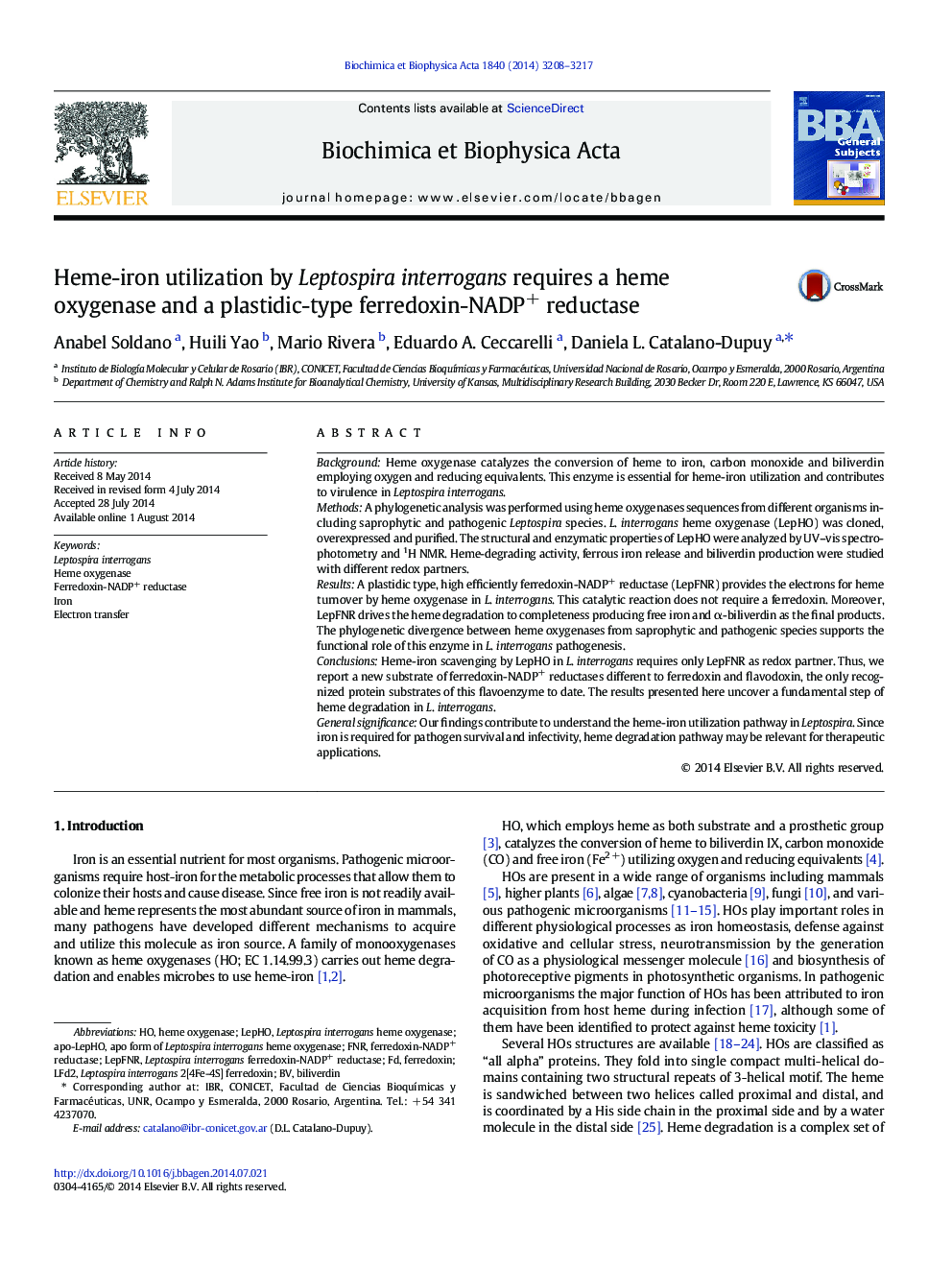 Heme-iron utilization by Leptospira interrogans requires a heme oxygenase and a plastidic-type ferredoxin-NADP+ reductase