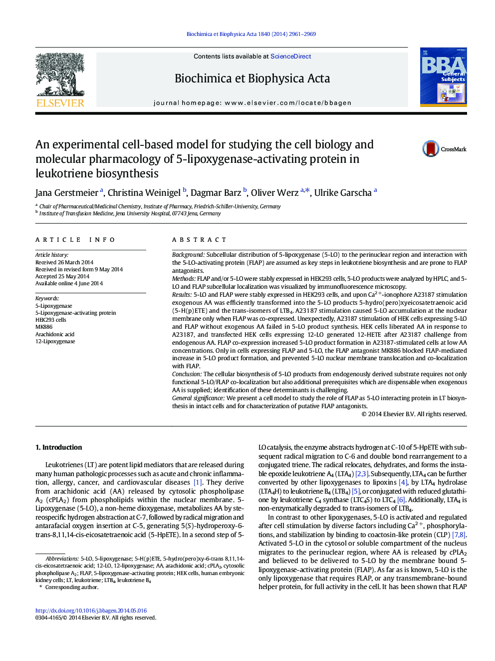 An experimental cell-based model for studying the cell biology and molecular pharmacology of 5-lipoxygenase-activating protein in leukotriene biosynthesis