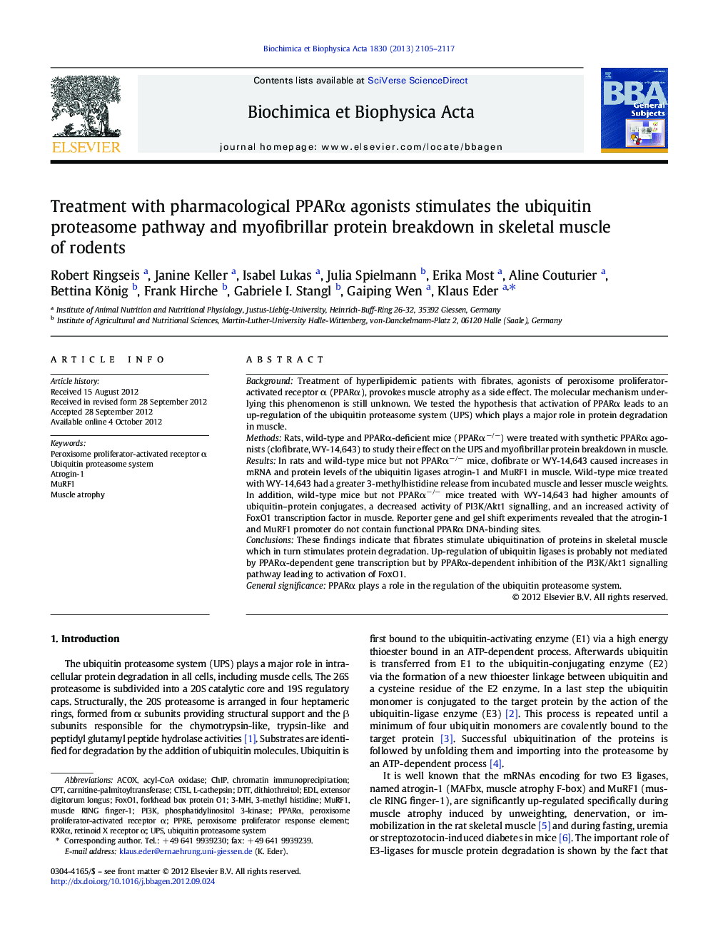 Treatment with pharmacological PPARα agonists stimulates the ubiquitin proteasome pathway and myofibrillar protein breakdown in skeletal muscle of rodents