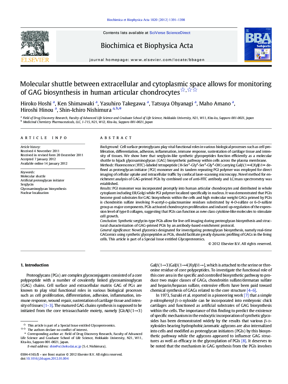 Molecular shuttle between extracellular and cytoplasmic space allows for monitoring of GAG biosynthesis in human articular chondrocytes