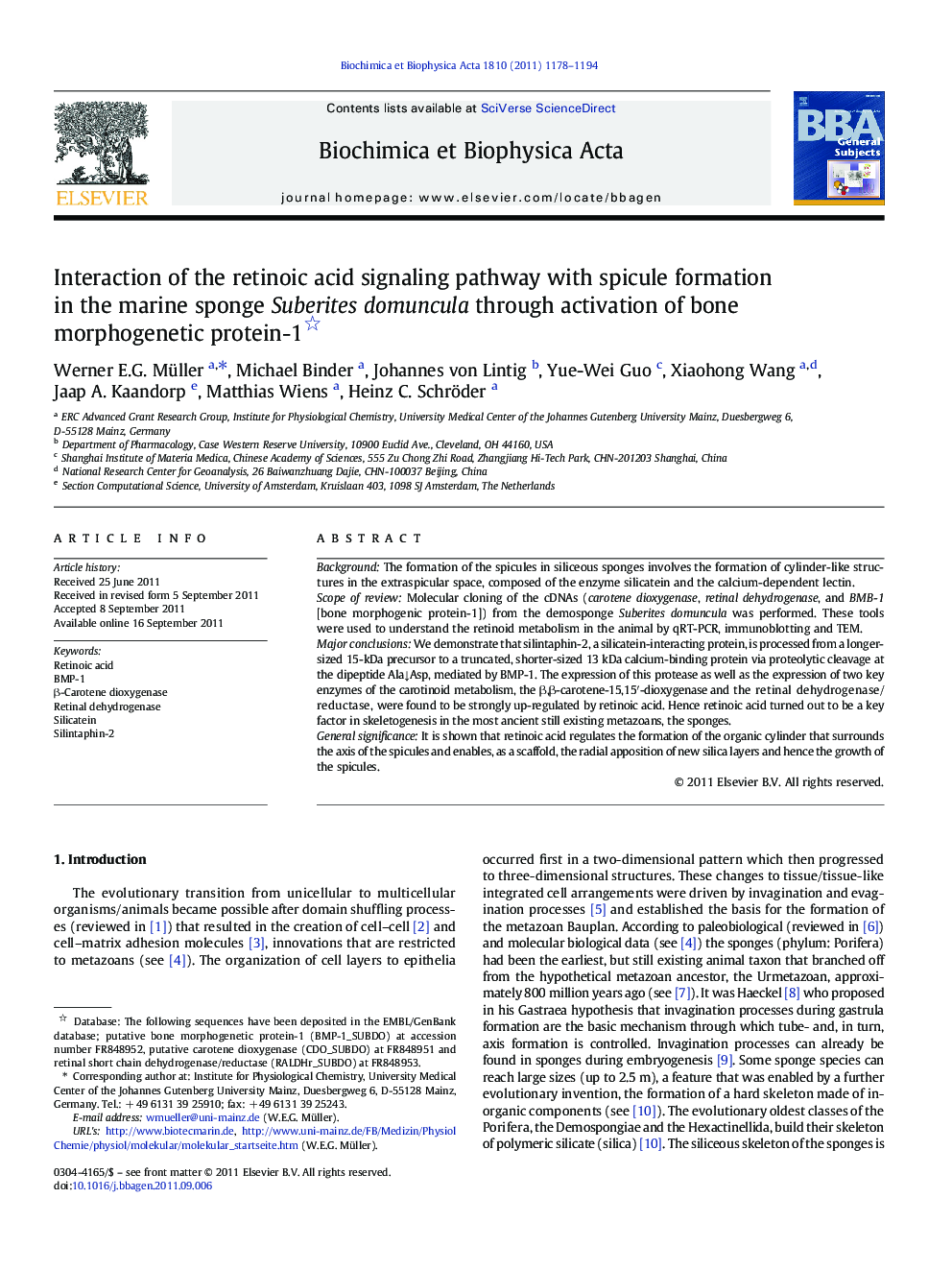 Interaction of the retinoic acid signaling pathway with spicule formation in the marine sponge Suberites domuncula through activation of bone morphogenetic protein-1