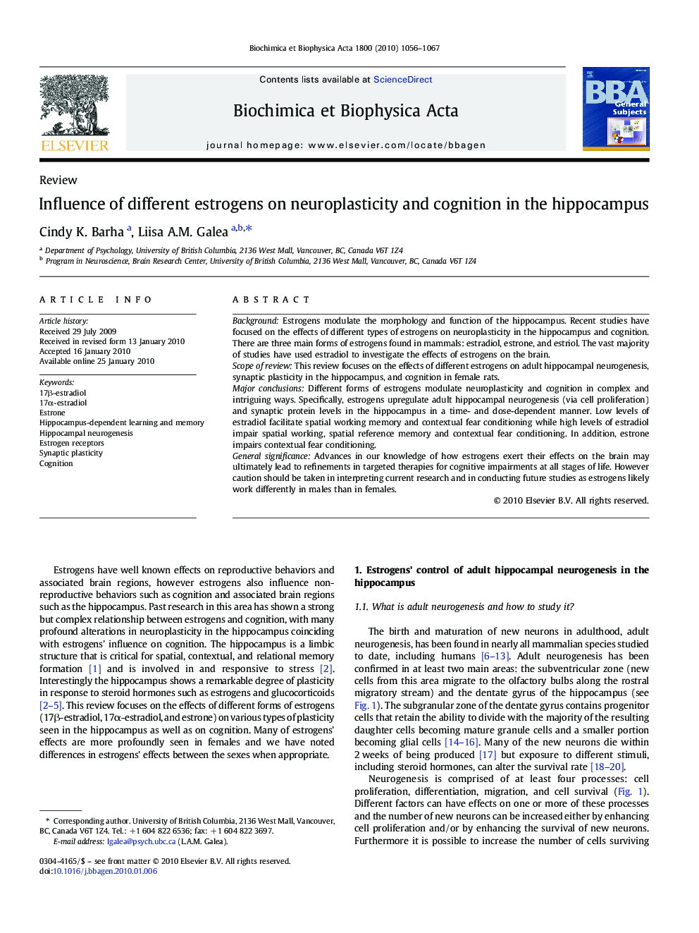 Influence of different estrogens on neuroplasticity and cognition in the hippocampus