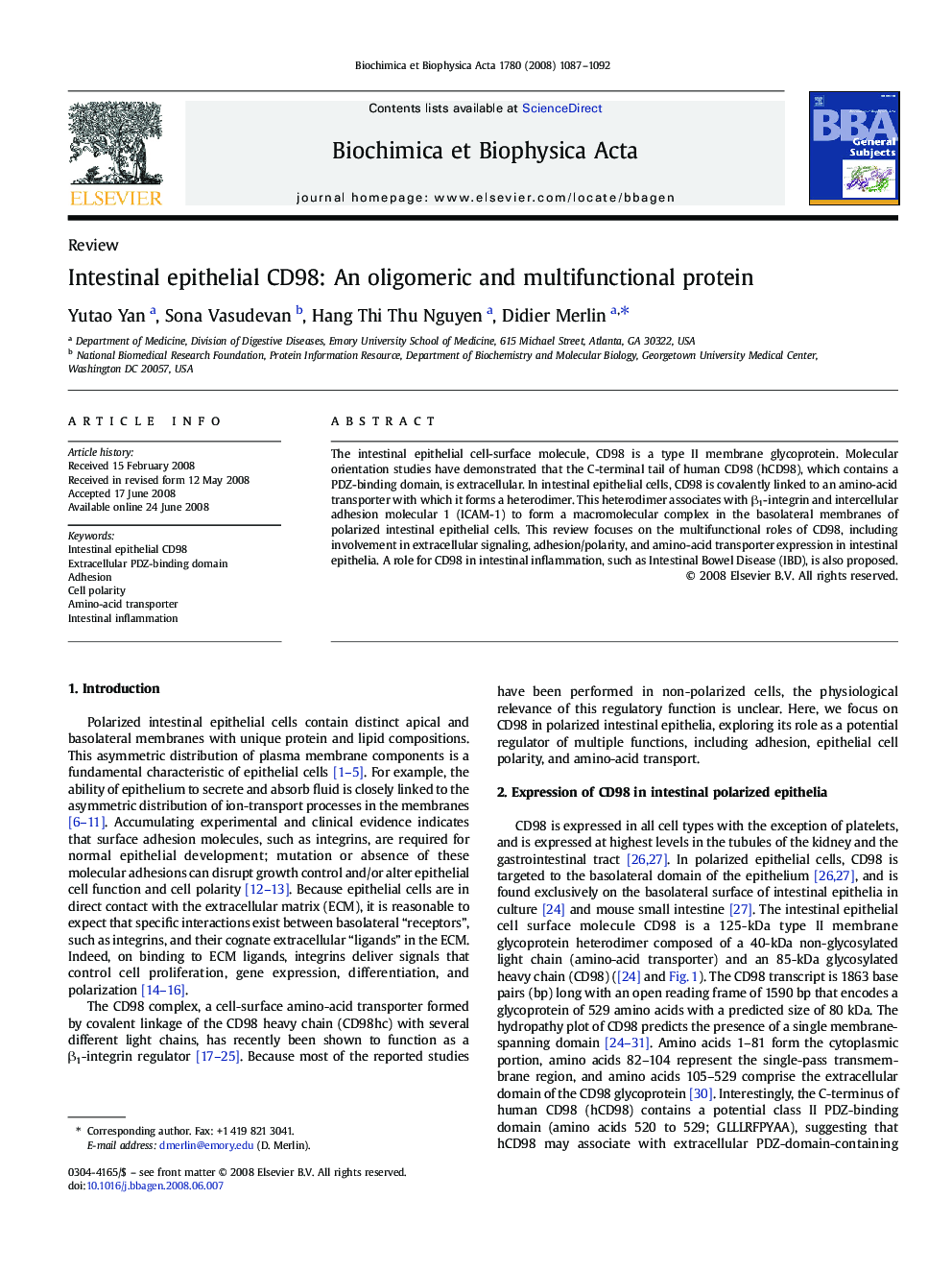 Intestinal epithelial CD98: An oligomeric and multifunctional protein