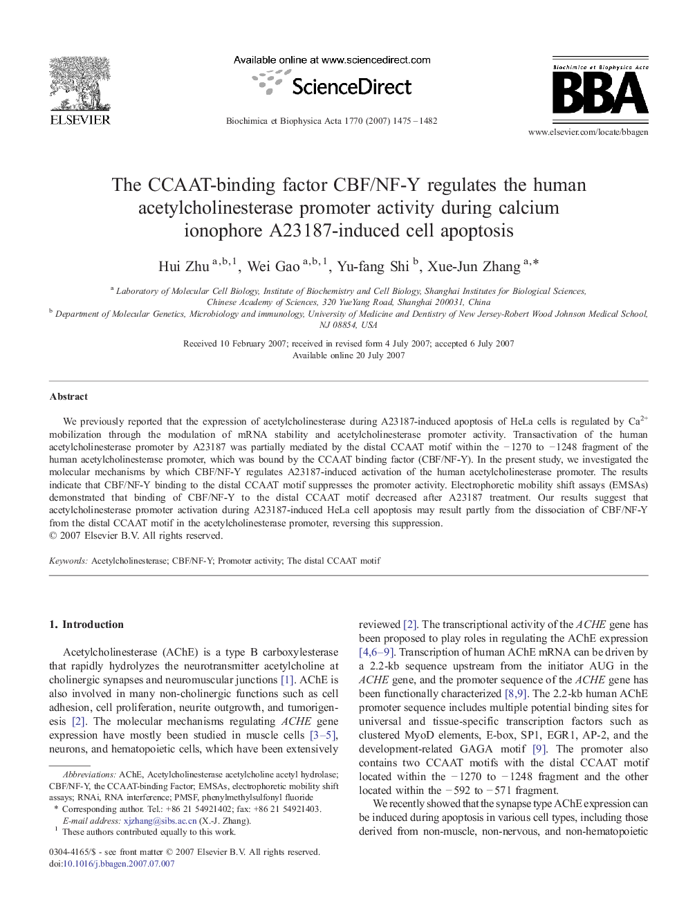 The CCAAT-binding factor CBF/NF-Y regulates the human acetylcholinesterase promoter activity during calcium ionophore A23187-induced cell apoptosis