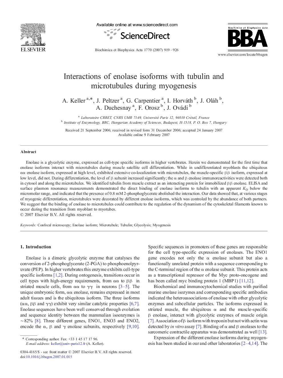 Interactions of enolase isoforms with tubulin and microtubules during myogenesis