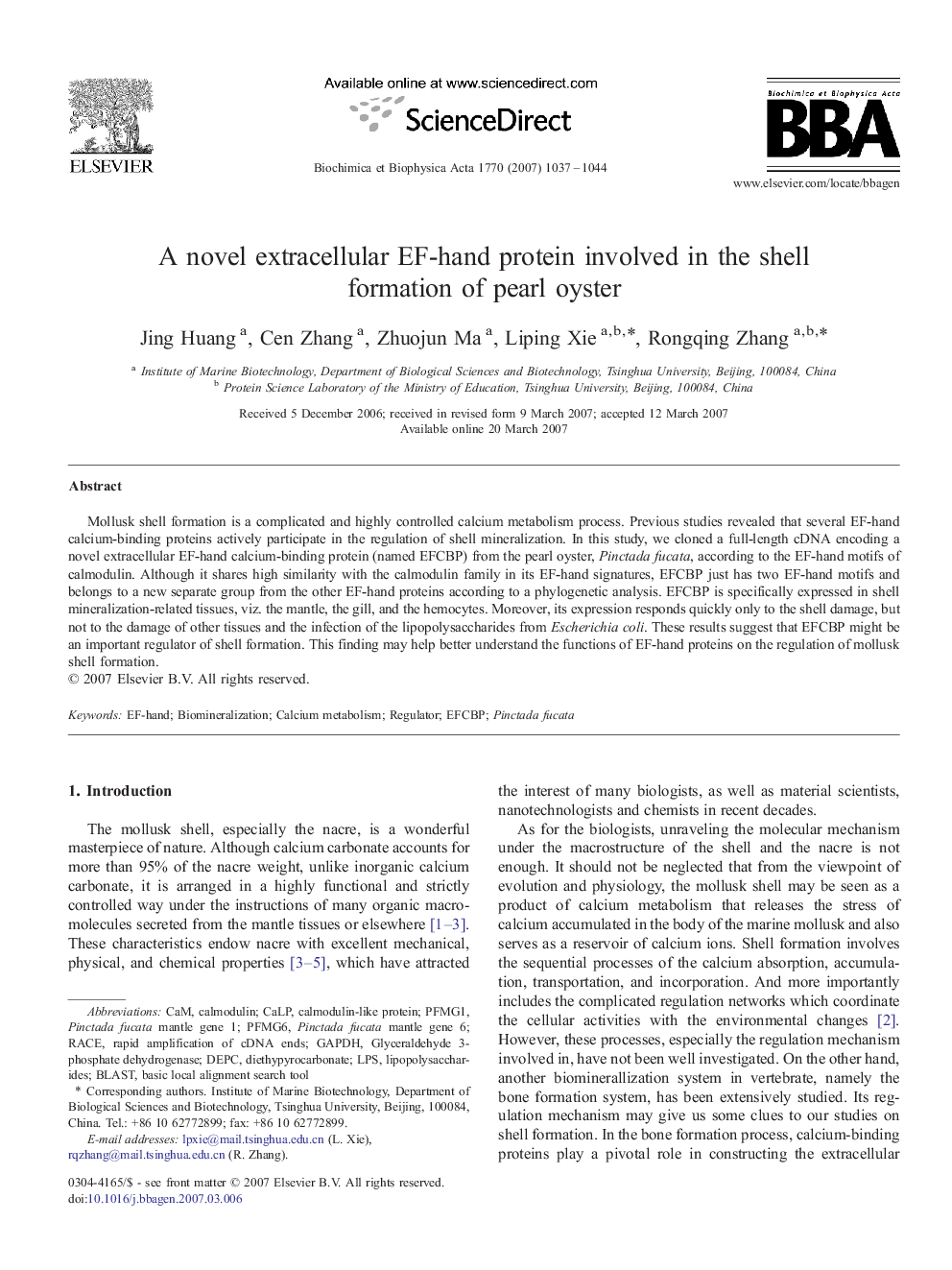 A novel extracellular EF-hand protein involved in the shell formation of pearl oyster