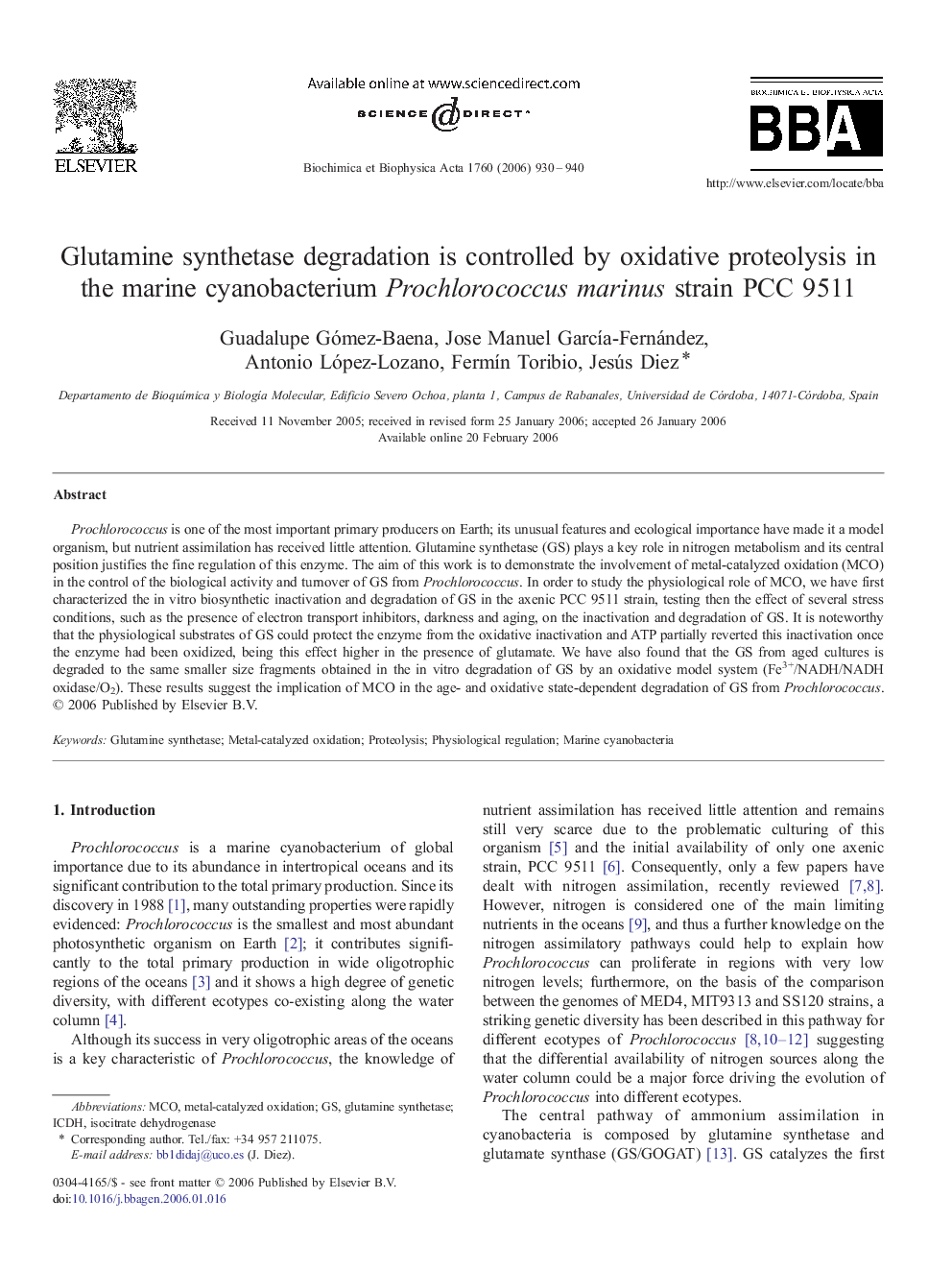 Glutamine synthetase degradation is controlled by oxidative proteolysis in the marine cyanobacterium Prochlorococcus marinus strain PCC 9511