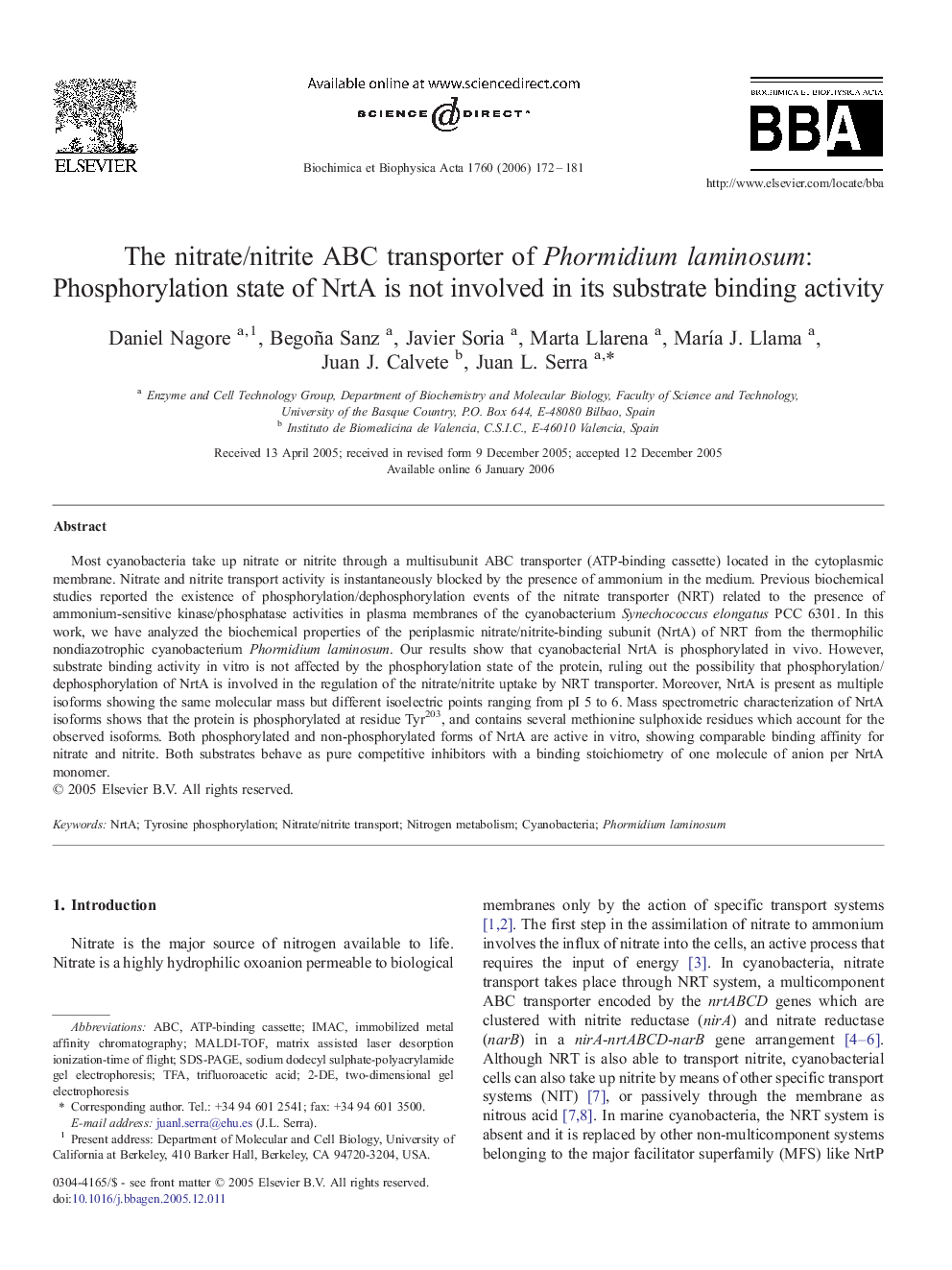 The nitrate/nitrite ABC transporter of Phormidium laminosum: Phosphorylation state of NrtA is not involved in its substrate binding activity