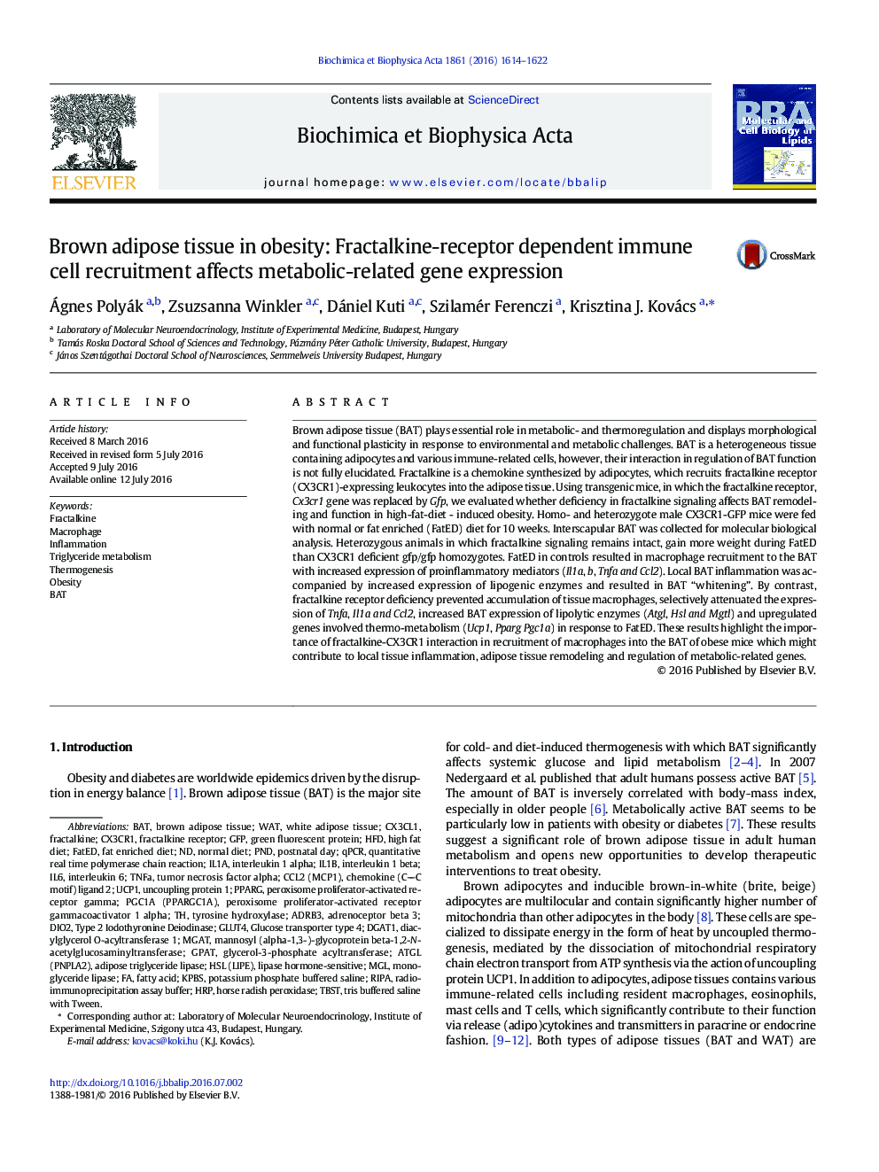 Brown adipose tissue in obesity: Fractalkine-receptor dependent immune cell recruitment affects metabolic-related gene expression