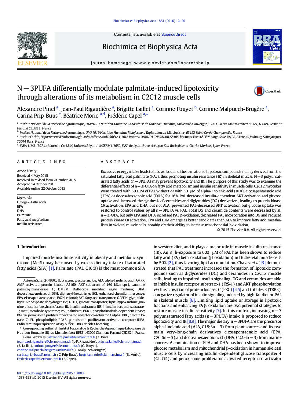 NÂ âÂ 3PUFA differentially modulate palmitate-induced lipotoxicity through alterations of its metabolism in C2C12 muscle cells