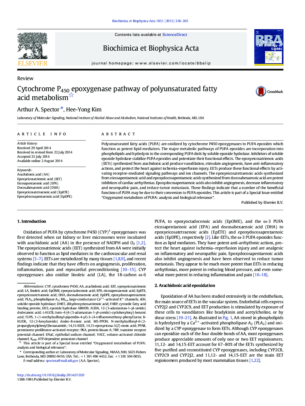 Cytochrome P450 epoxygenase pathway of polyunsaturated fatty acid metabolism 