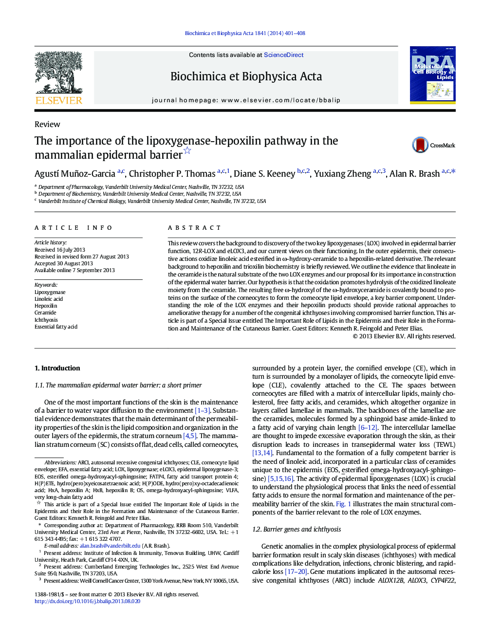 The importance of the lipoxygenase-hepoxilin pathway in the mammalian epidermal barrier