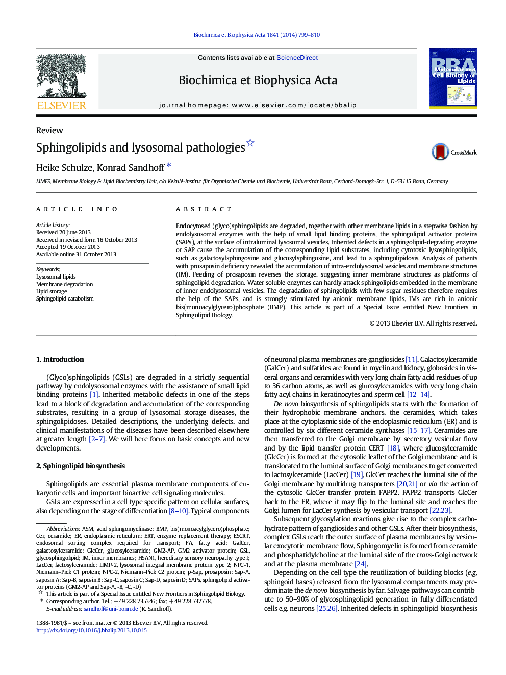 Sphingolipids and lysosomal pathologies 