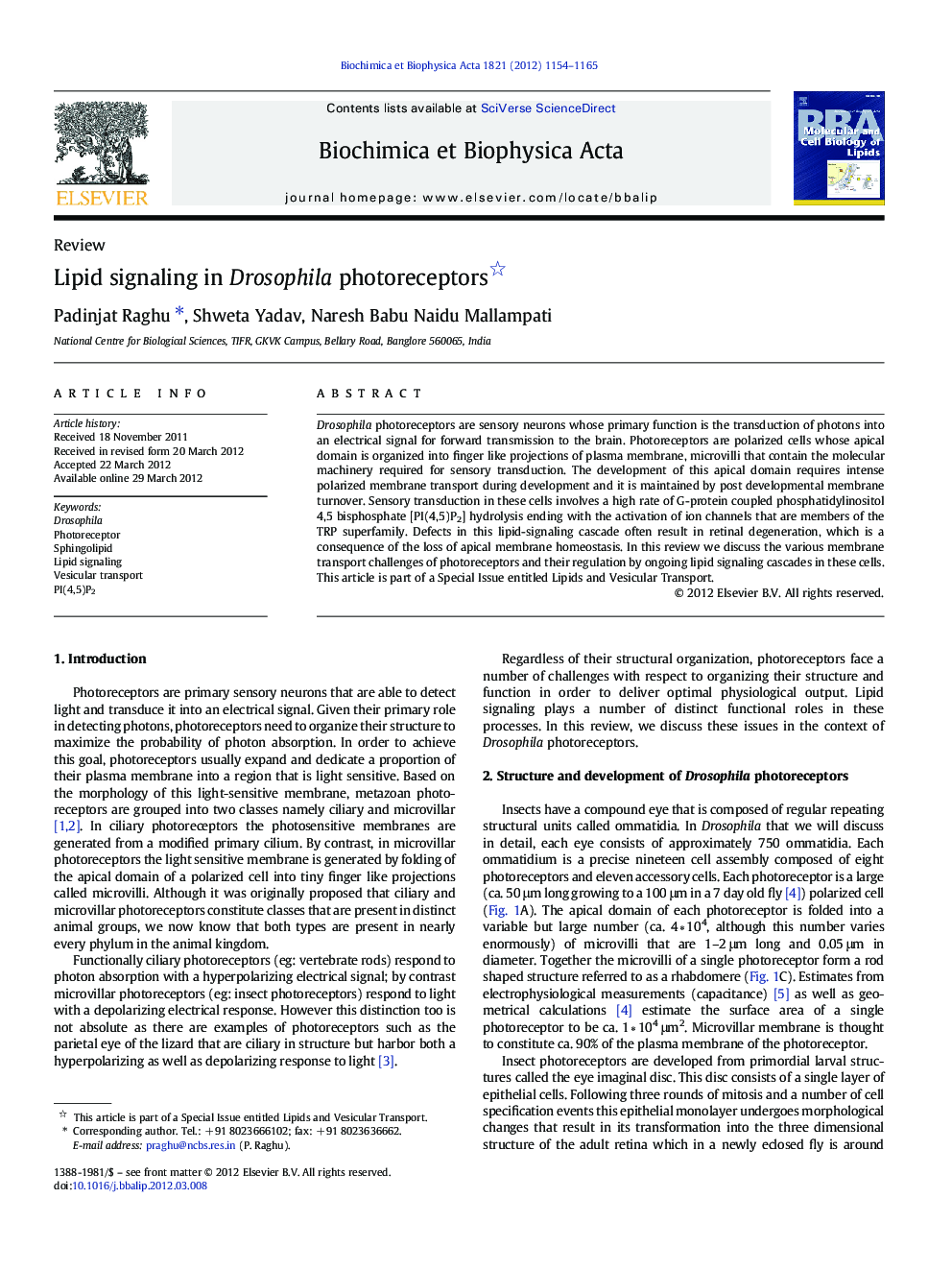 Lipid signaling in Drosophila photoreceptors 