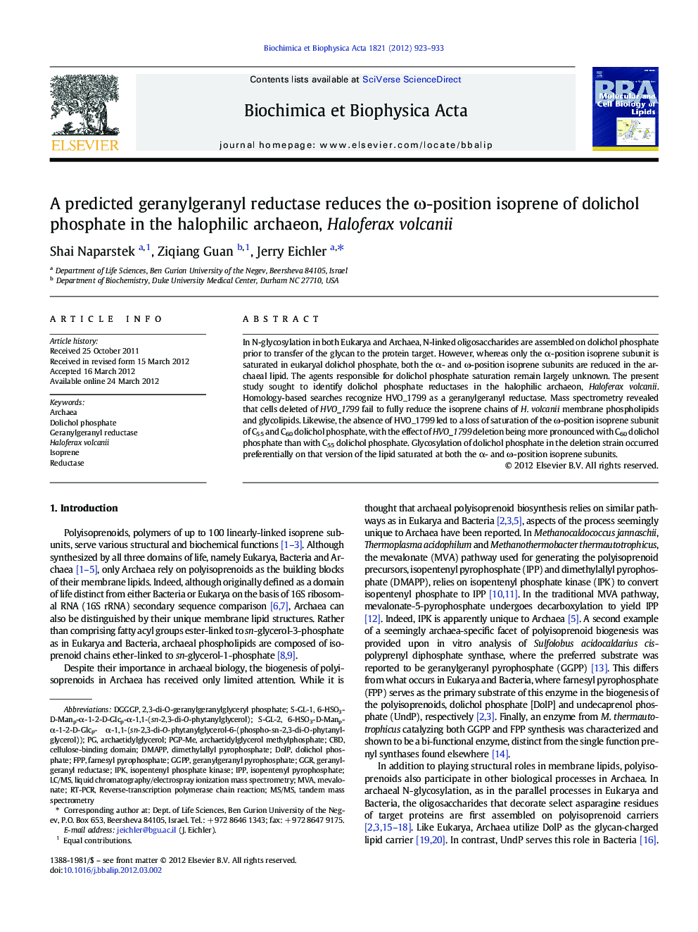 A predicted geranylgeranyl reductase reduces the ω-position isoprene of dolichol phosphate in the halophilic archaeon, Haloferax volcanii