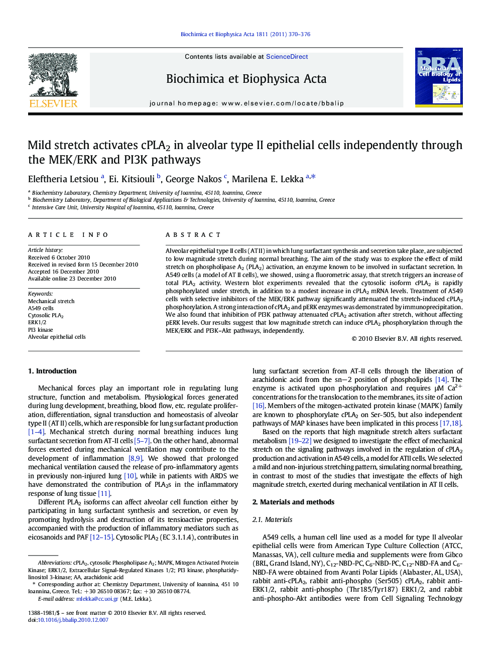 Mild stretch activates cPLA2 in alveolar type II epithelial cells independently through the MEK/ERK and PI3K pathways