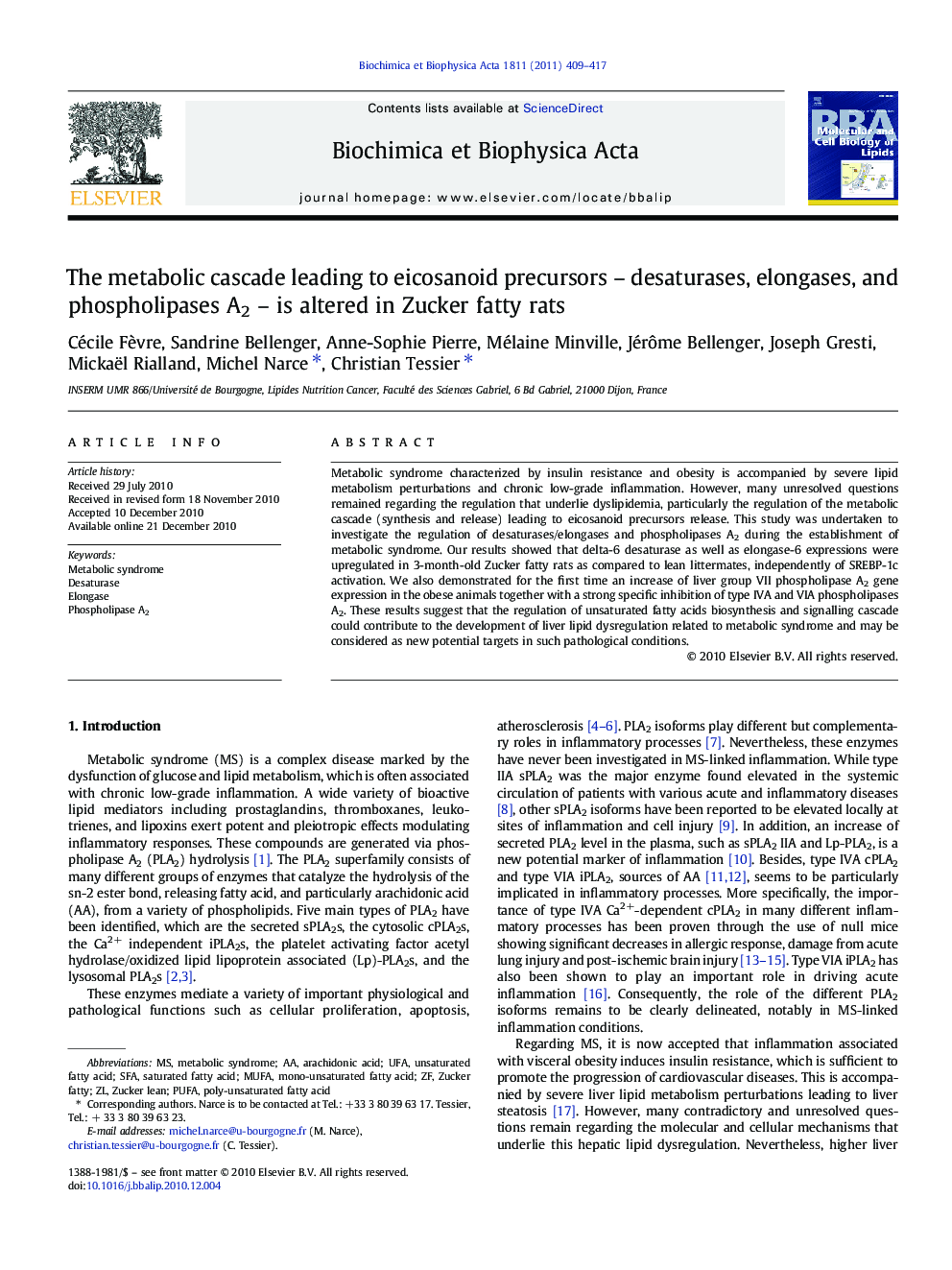 The metabolic cascade leading to eicosanoid precursors – desaturases, elongases, and phospholipases A2 – is altered in Zucker fatty rats