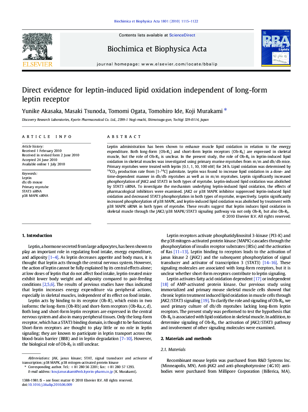 Direct evidence for leptin-induced lipid oxidation independent of long-form leptin receptor