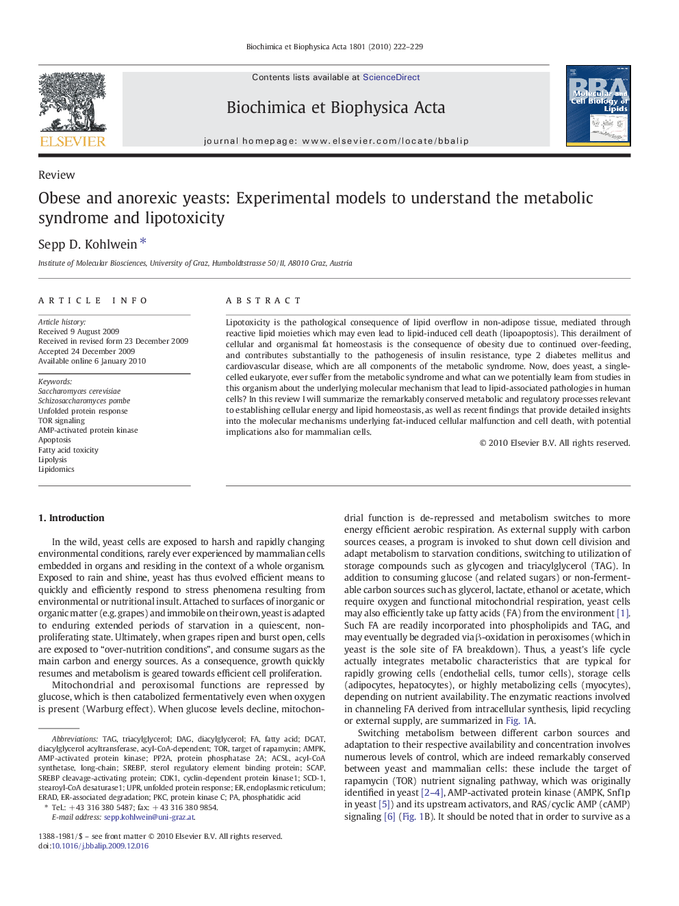 Obese and anorexic yeasts: Experimental models to understand the metabolic syndrome and lipotoxicity