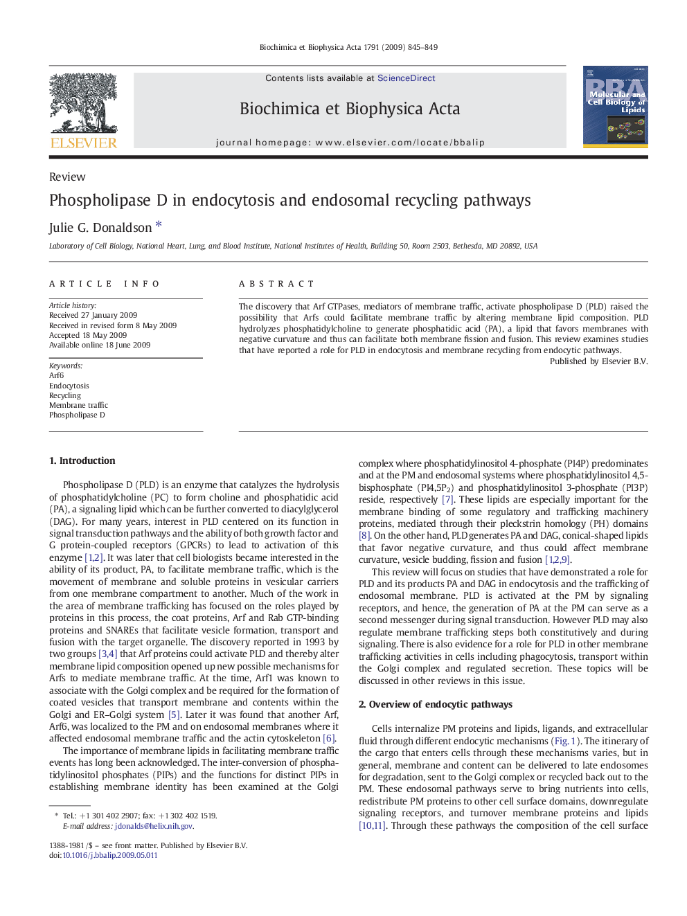 Phospholipase D in endocytosis and endosomal recycling pathways